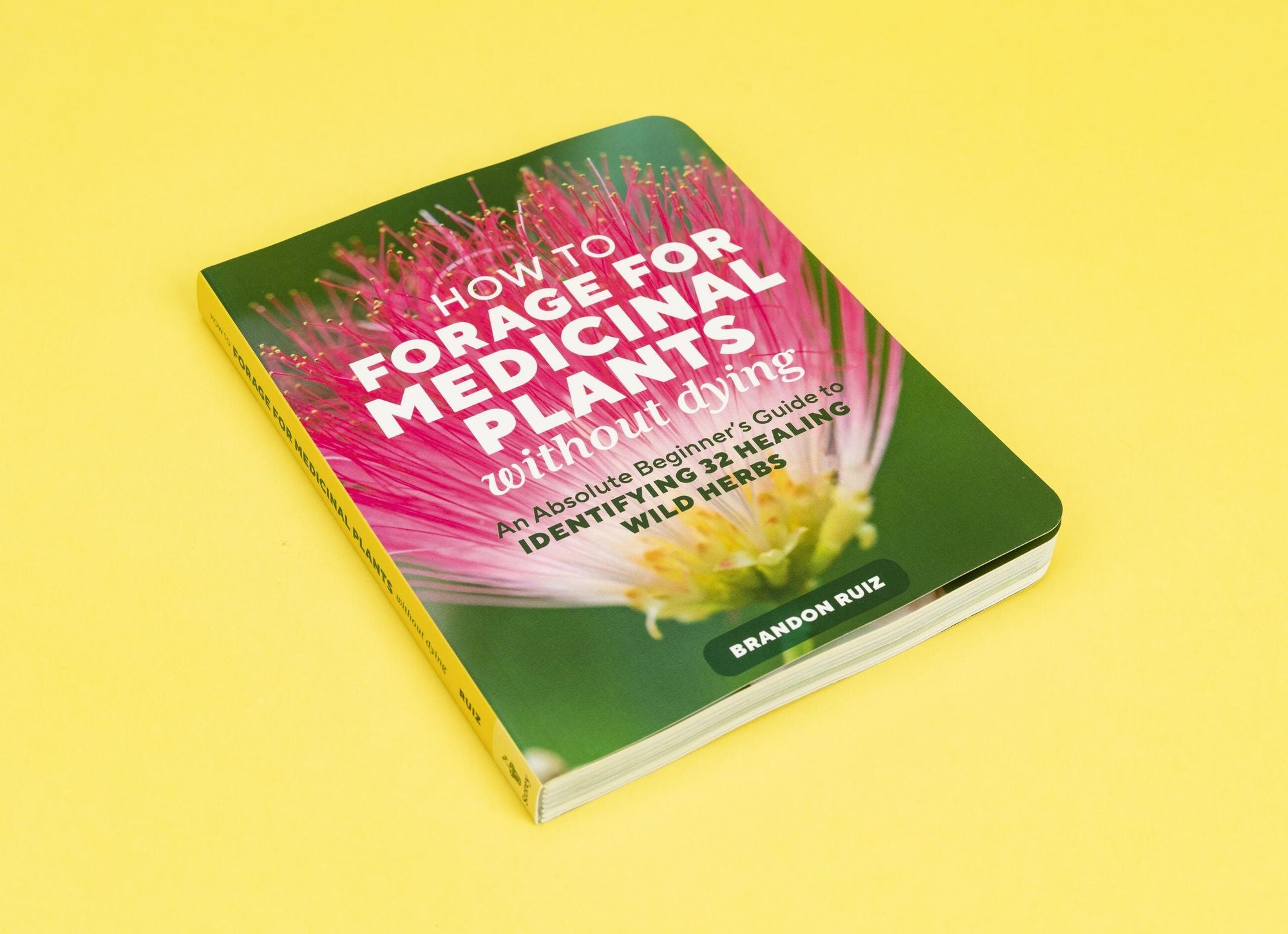 How to Forage for Medicinal Plants without Dying: An Absolute Beginner's Guide to Identifying 32 Healing Wild Herbs
