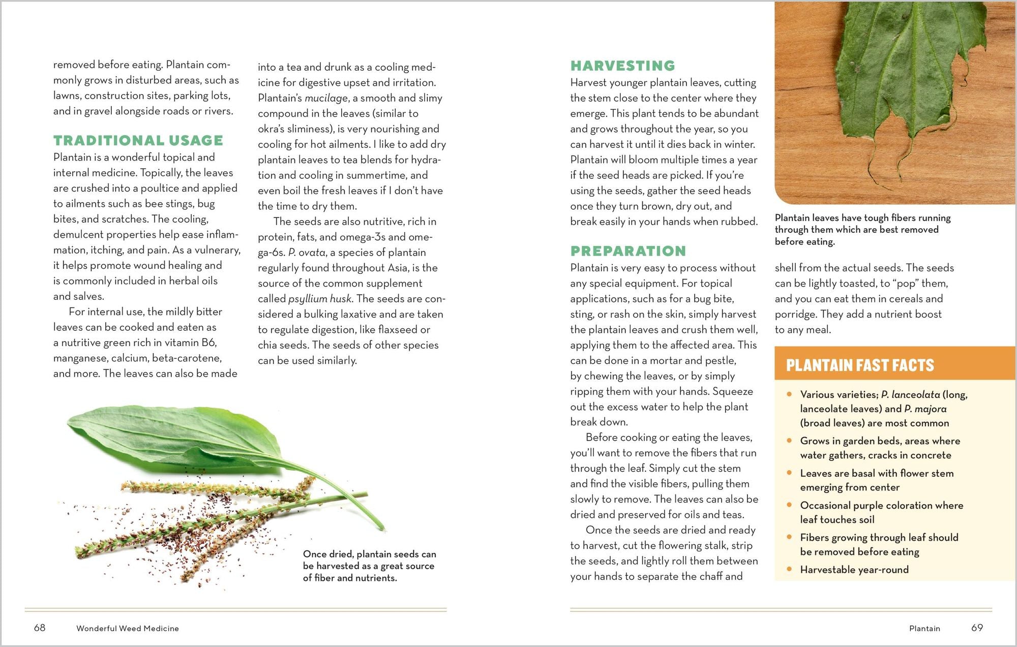 How to Forage for Medicinal Plants without Dying: An Absolute Beginner's Guide to Identifying 32 Healing Wild Herbs