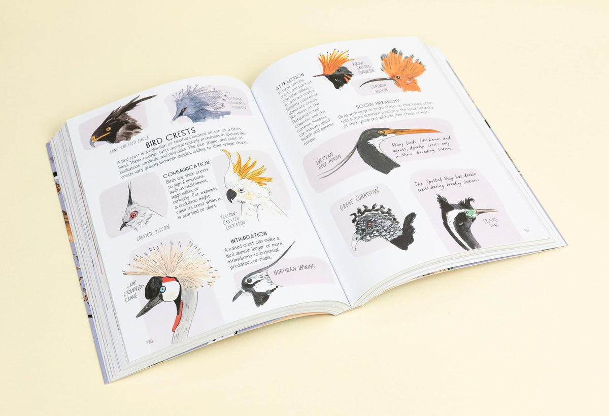Bird Anatomy: The Curious Lives of the World's Feathered Creatures