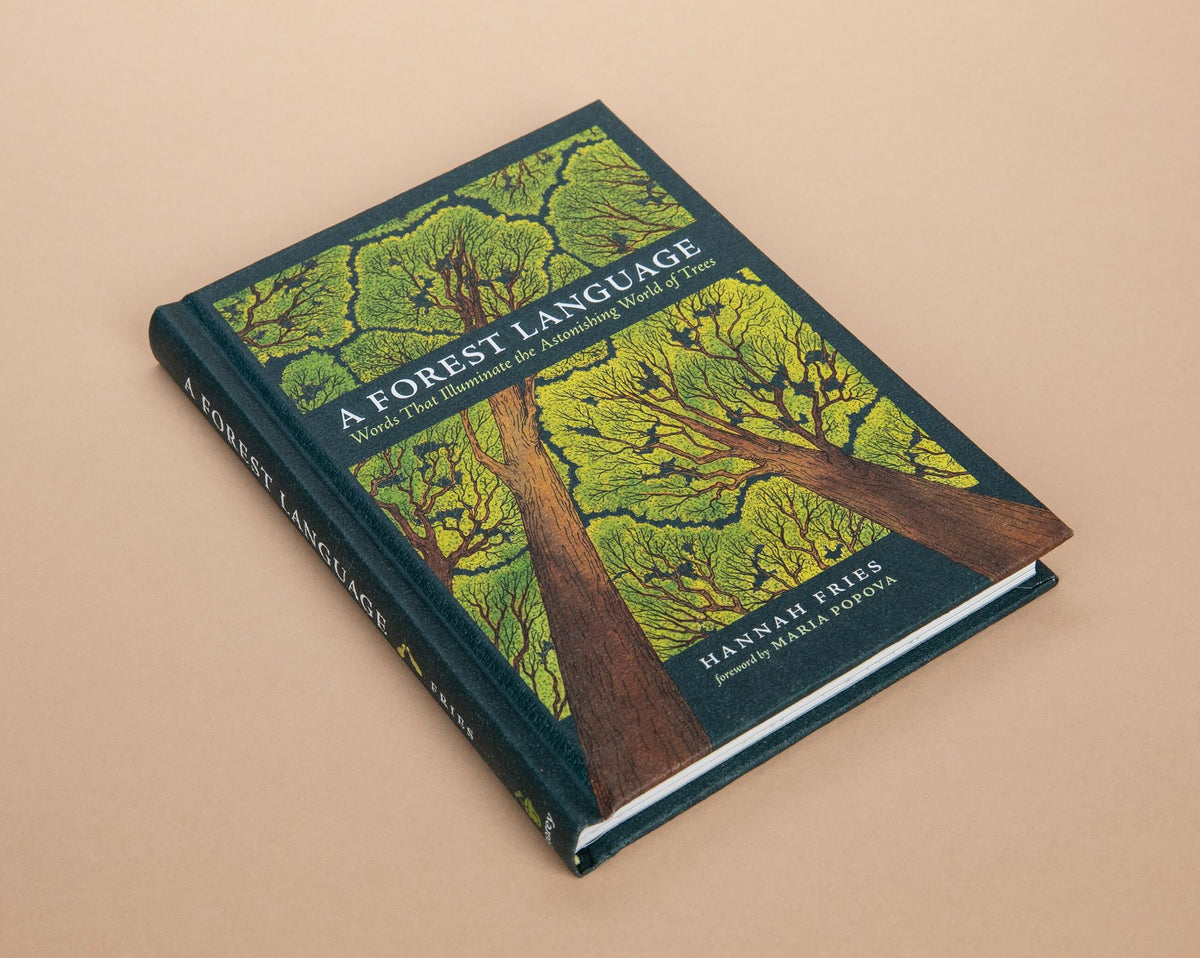 A Forest Language: Words That Illuminate the Astonishing World of Trees