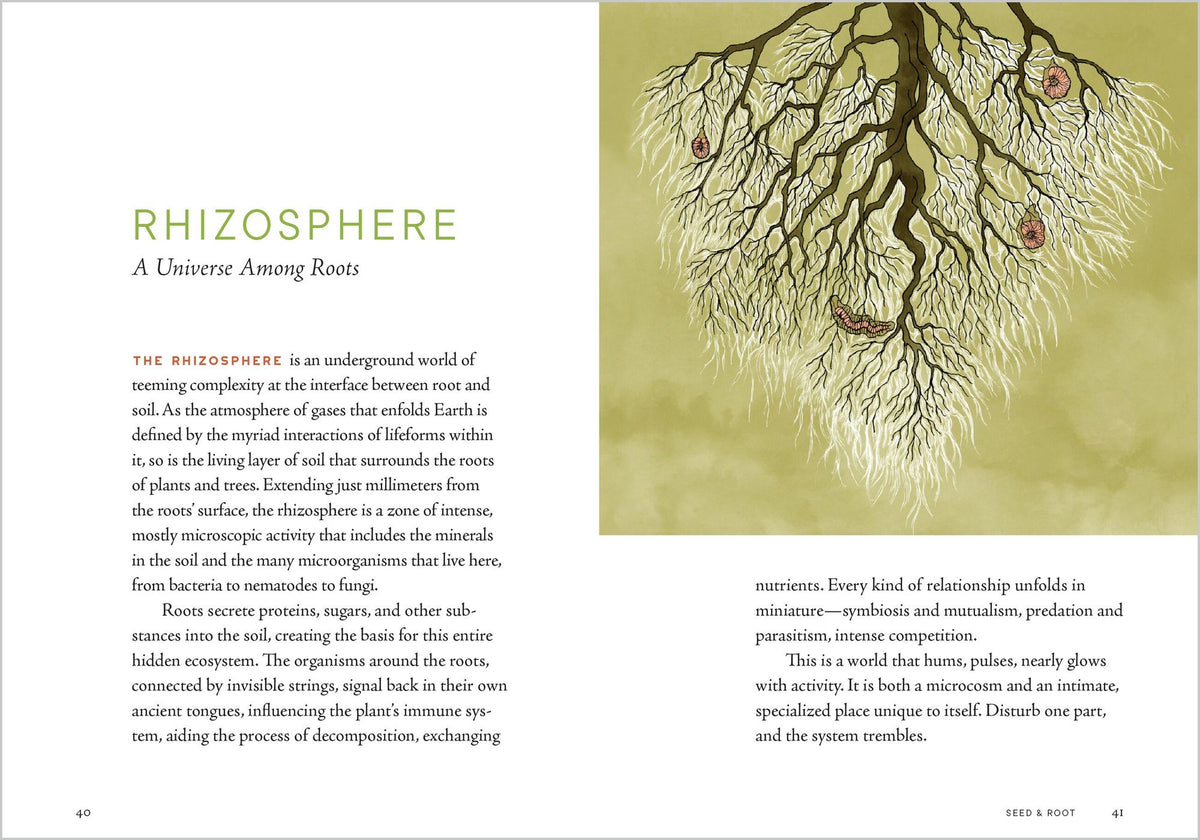 A Forest Language: Words That Illuminate the Astonishing World of Trees