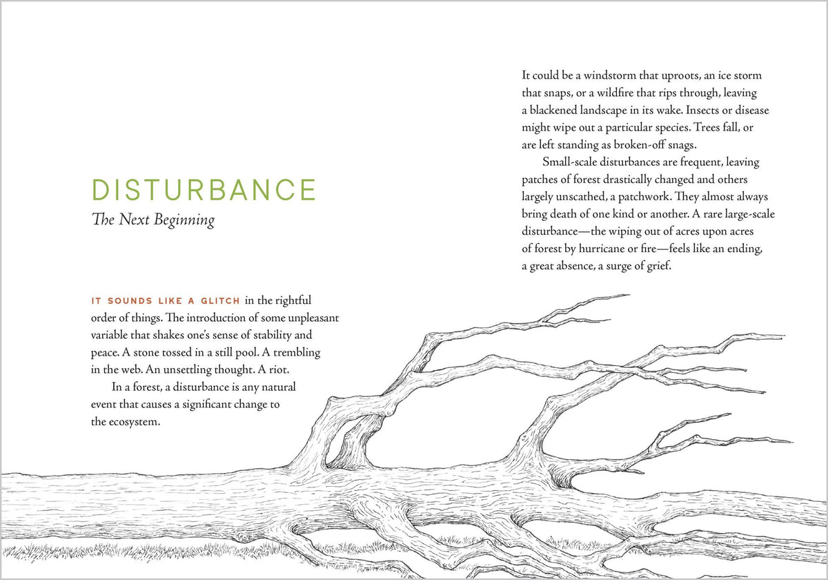 A Forest Language: Words That Illuminate the Astonishing World of Trees