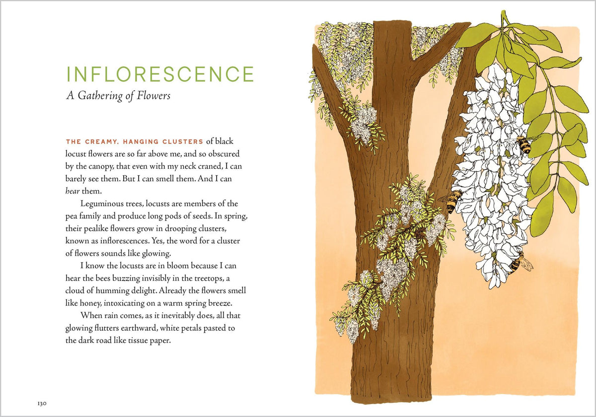 A Forest Language: Words That Illuminate the Astonishing World of Trees