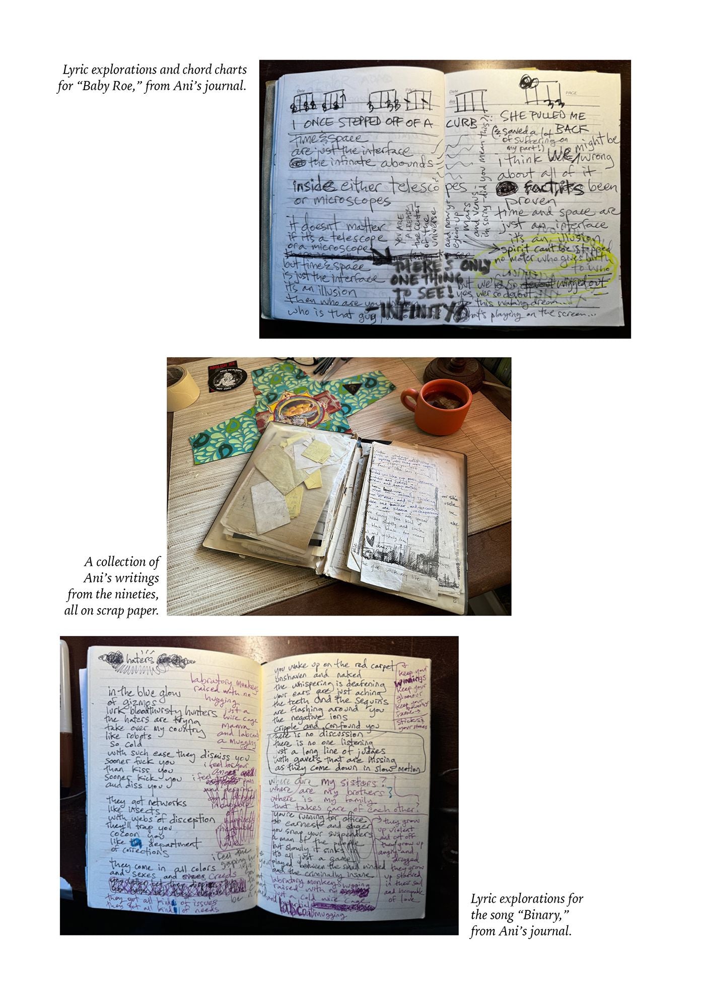 The Spirit of Ani: Reflections on Spirituality, Feminism, Music, and Freedom