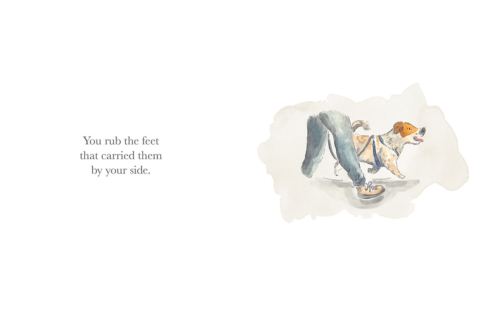 What Do You Do When Your Dog Grows Old?: A Poem by Jackie Short