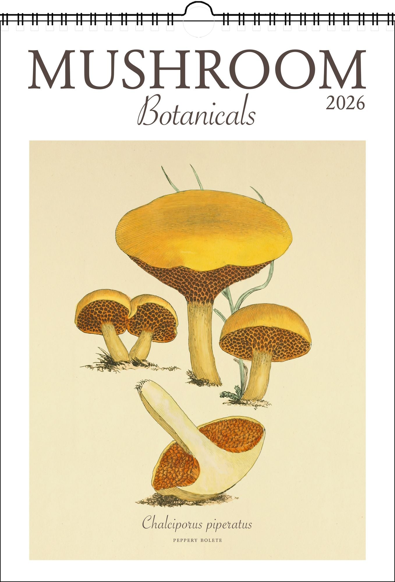 2026 Mushroom Botanicals Large Wall Calendar