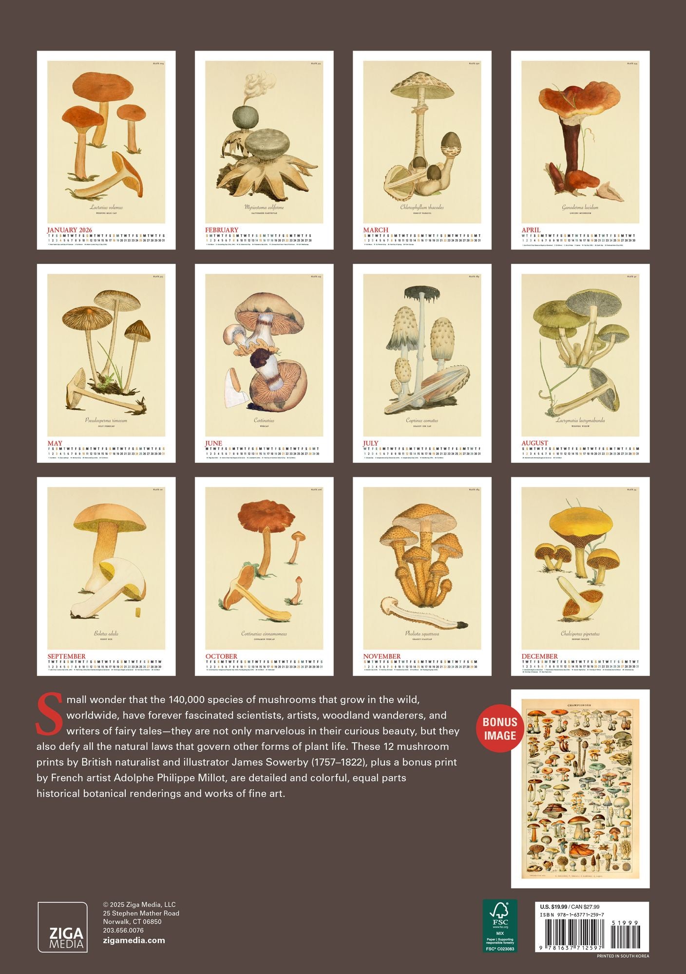2026 Mushroom Botanicals Large Wall Calendar
