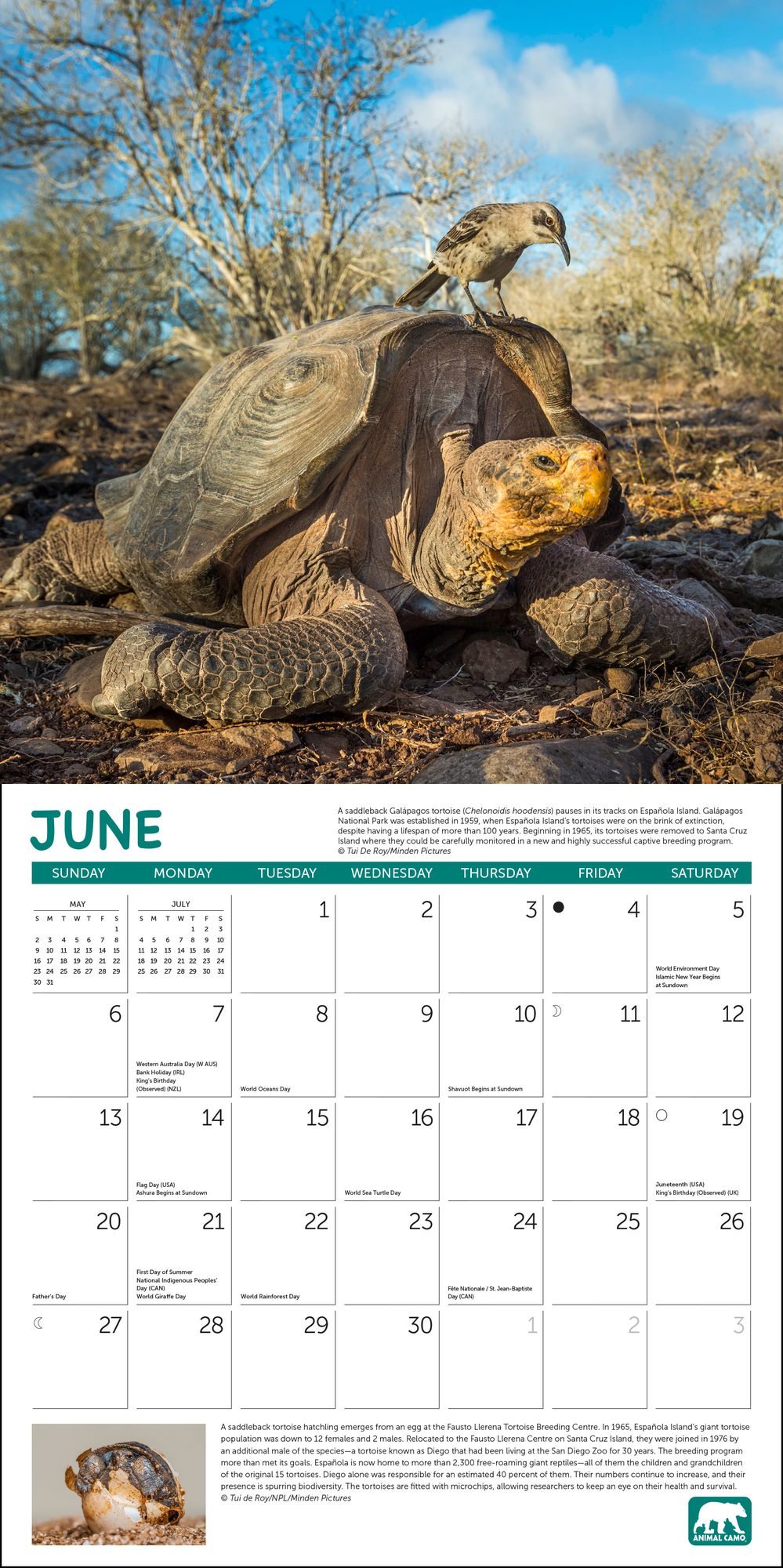 2027 Project Green Wall Calendar