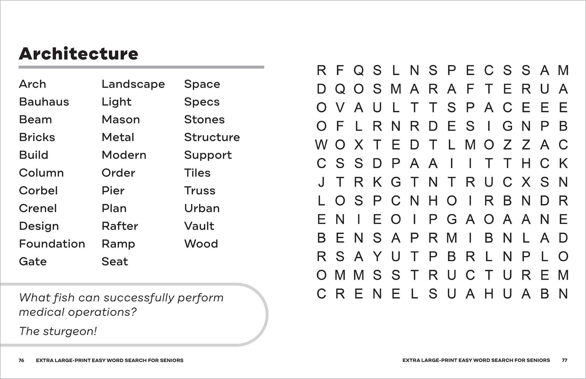 Extra Large-Print Easy Word Search for Seniors