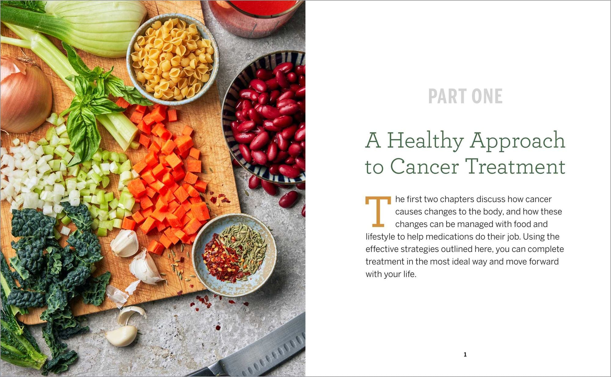 Cancer Diet for the Newly Diagnosed: An Integrative Guide and Cookbook for Treatment and Recovery