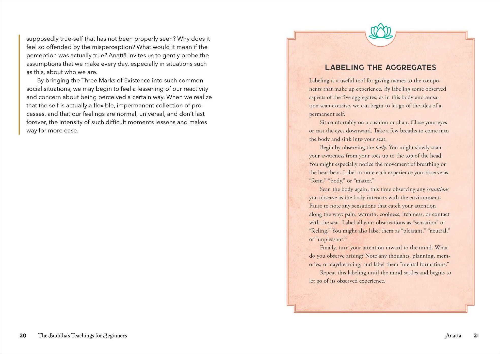 The Buddha's Teachings for Beginners: A Simple Guide to Connect the Buddha's Lessons to Everyday Life