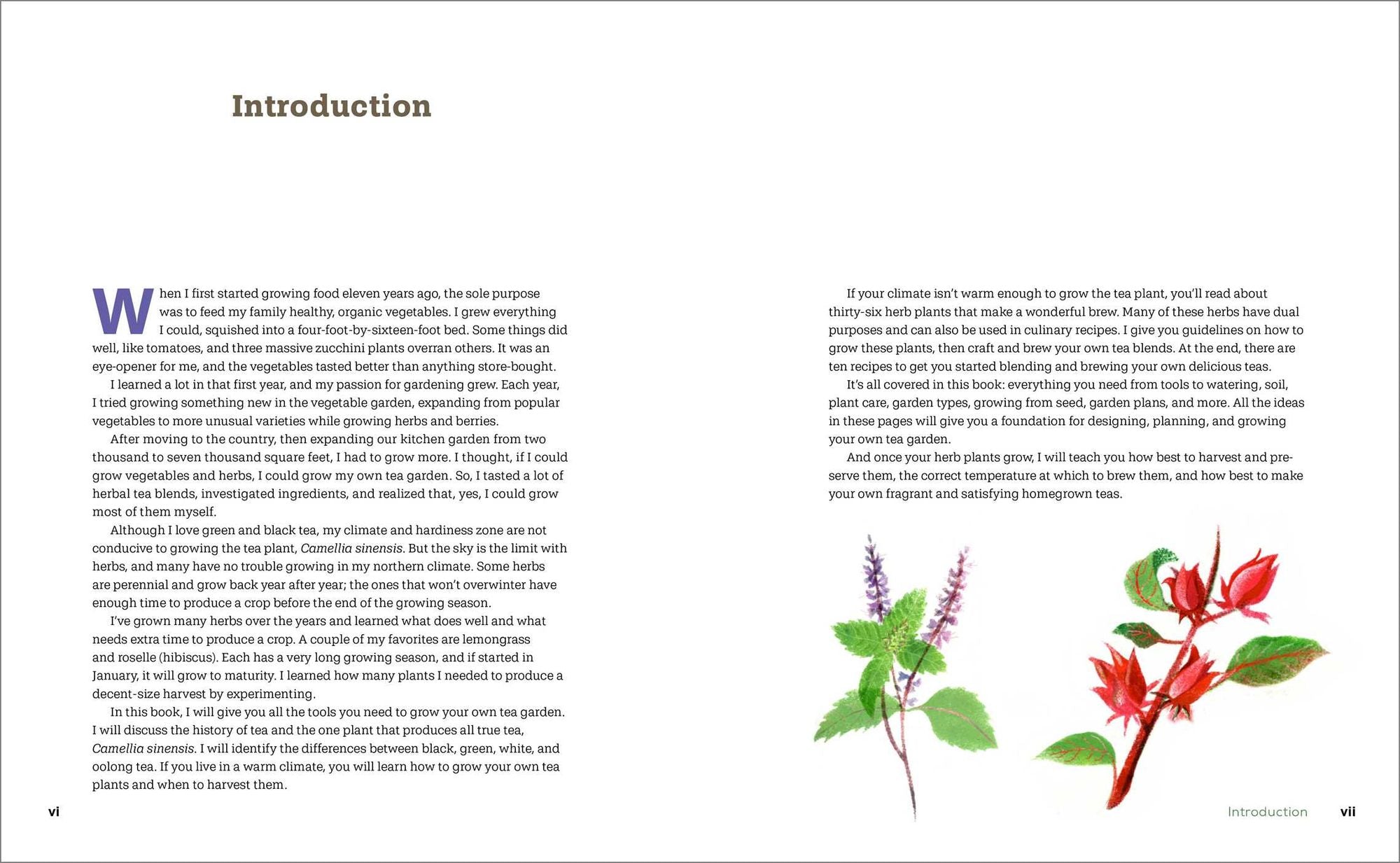 Tea Gardening for Beginners: Learn to Grow, Blend, and Brew Your Own Tea At Home