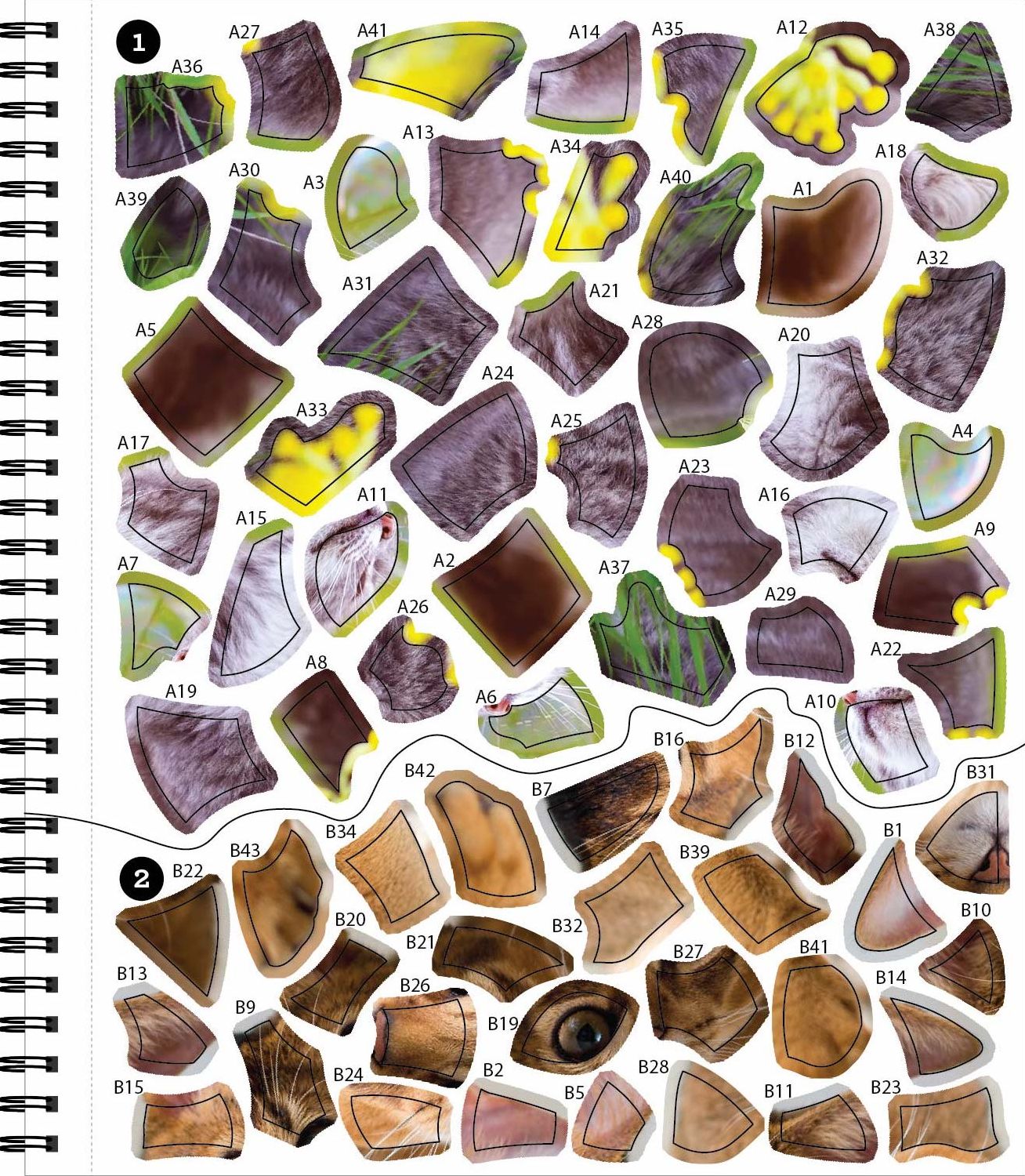 Sticker By Number All You Need is Cats