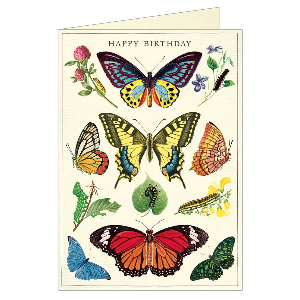 BDAY Birthday Butterflies
