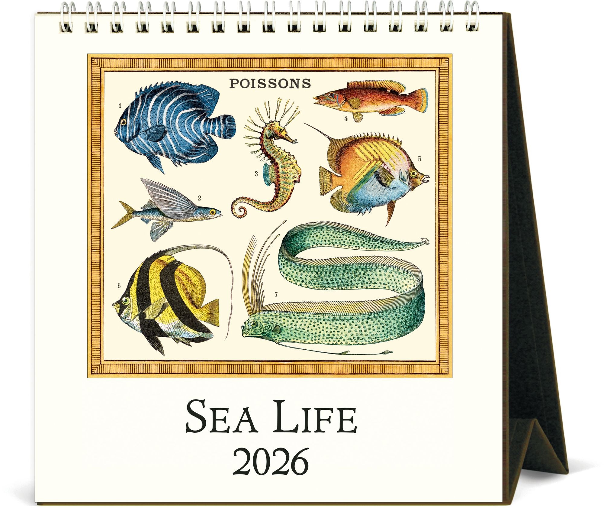 2026 Cavallini Sea Life Desk Calendar