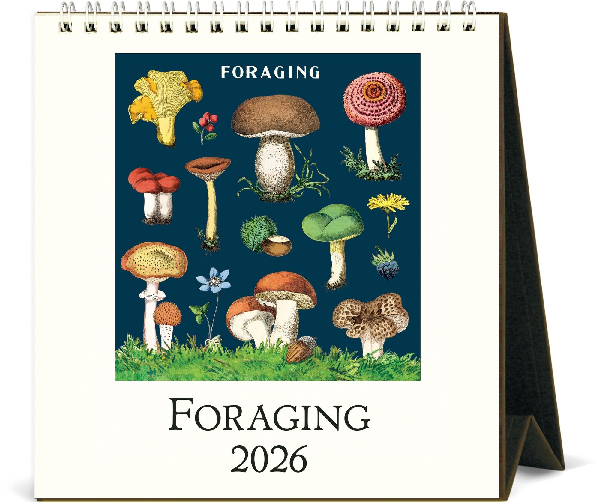 2026 Foraging Desk Calendar