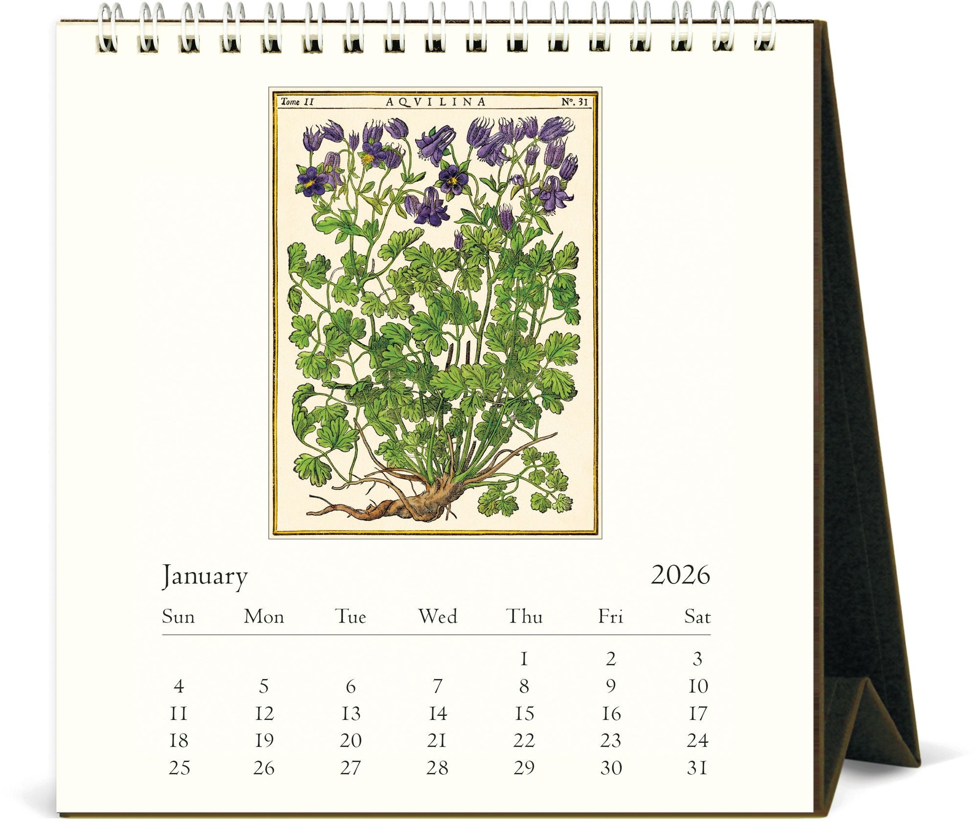 2026 Cavallini Herbarium Desk Calendar