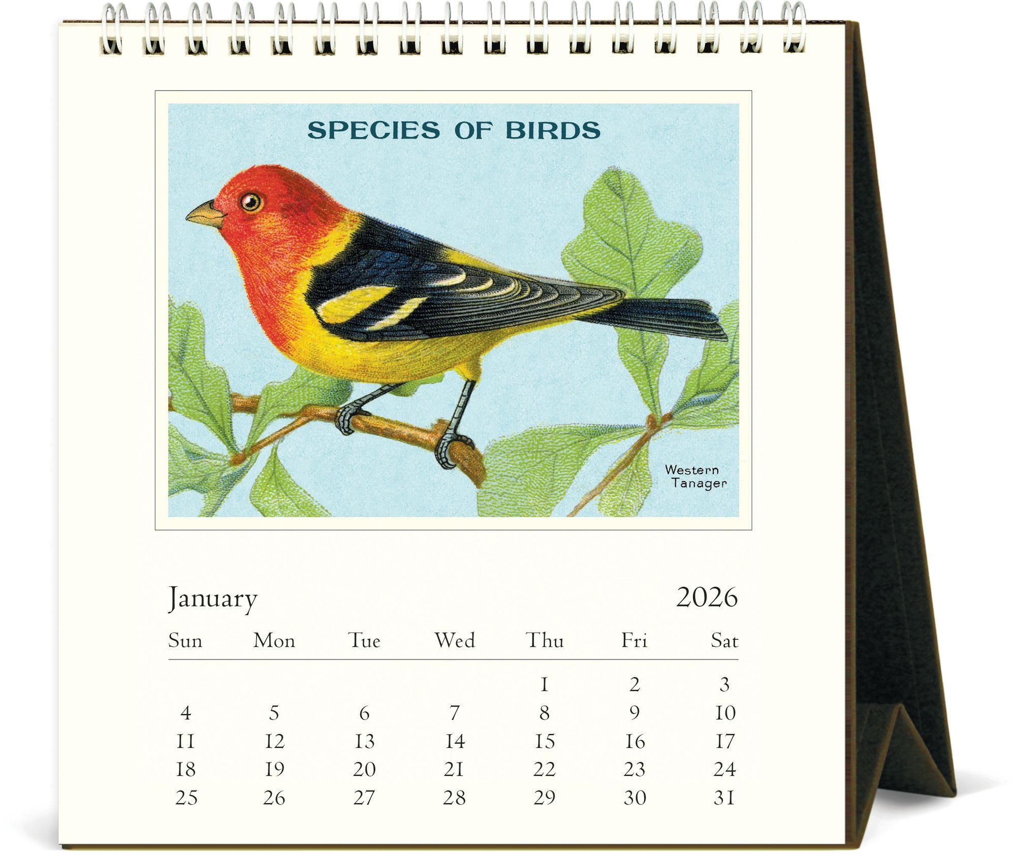 2026 Cavallini Birds Desk Calendar