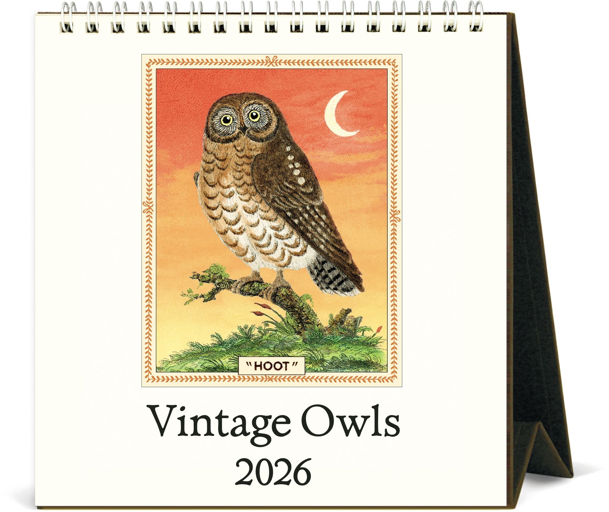 2026 Cavallini Owls Desk Calendar