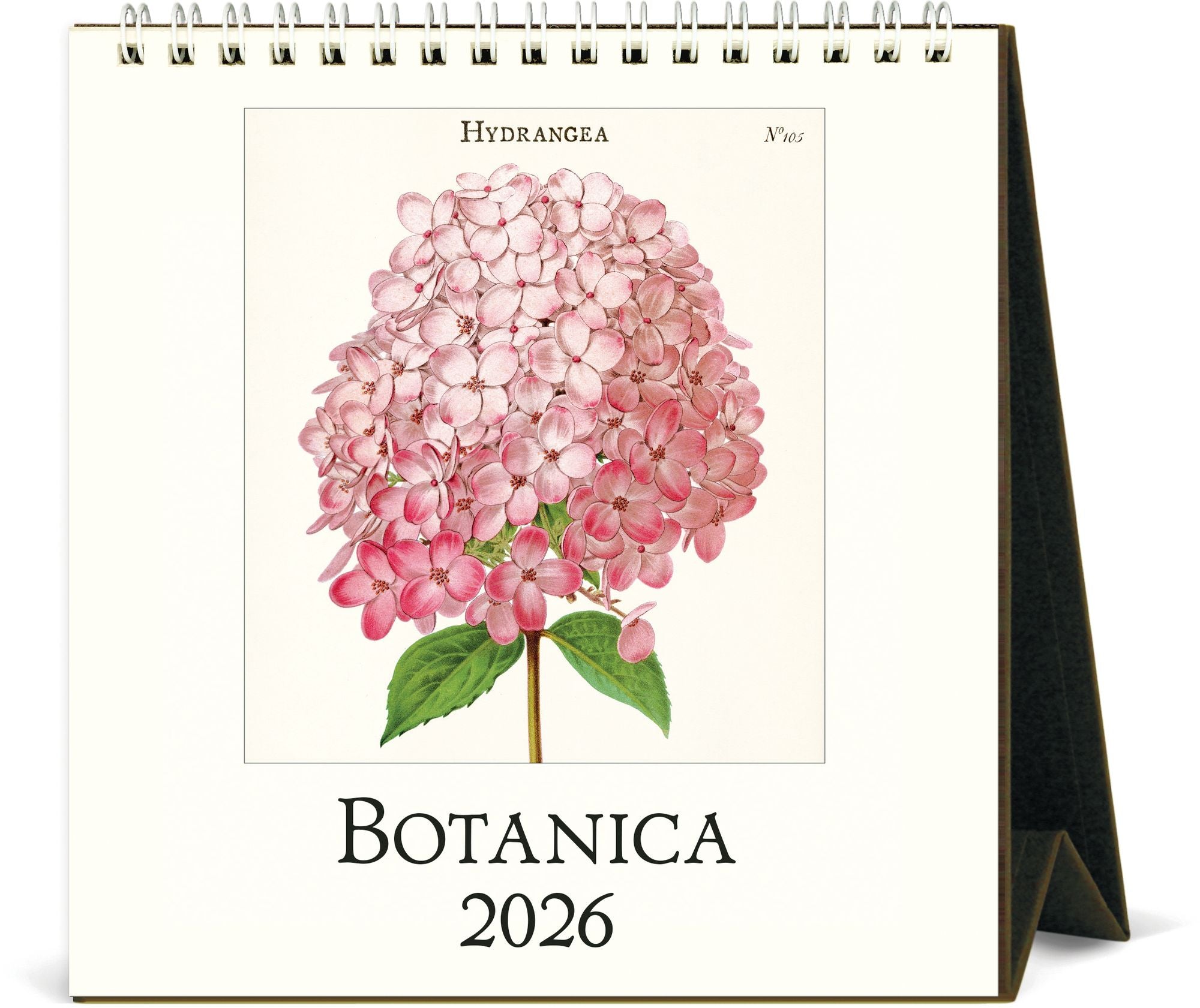 2026 Cavallini Botanica Desk Calendar