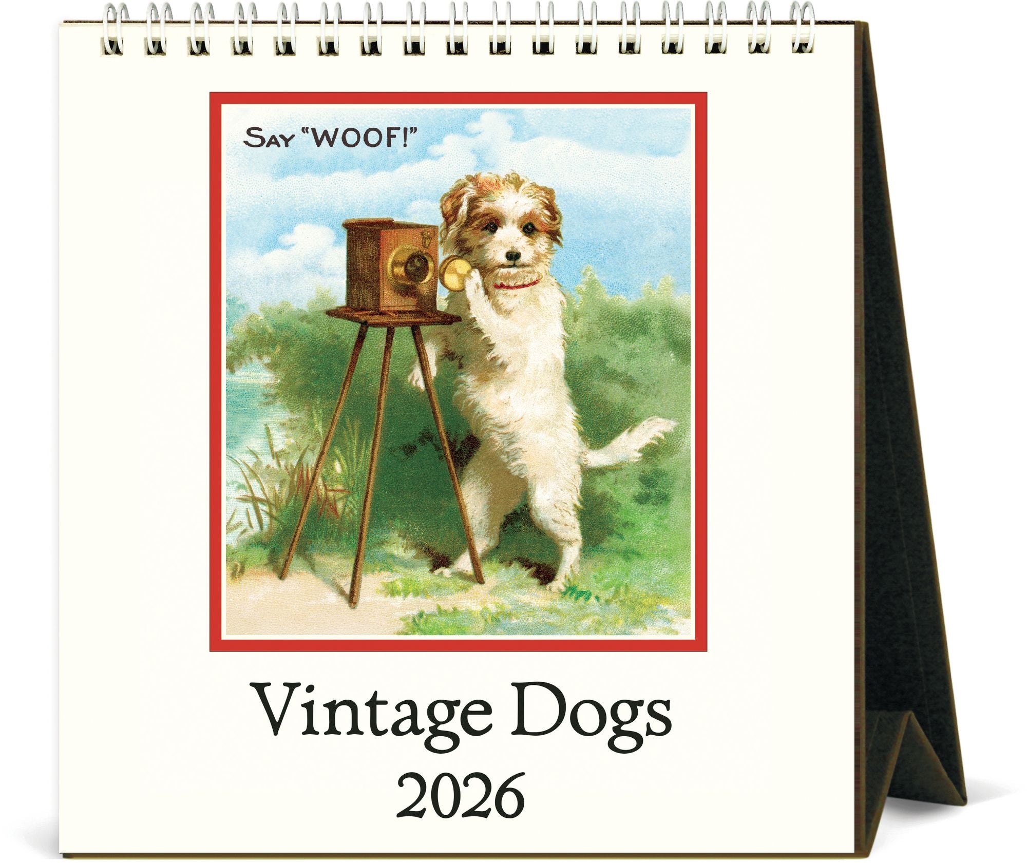 2026 Cavallini Dogs Desk Calendar