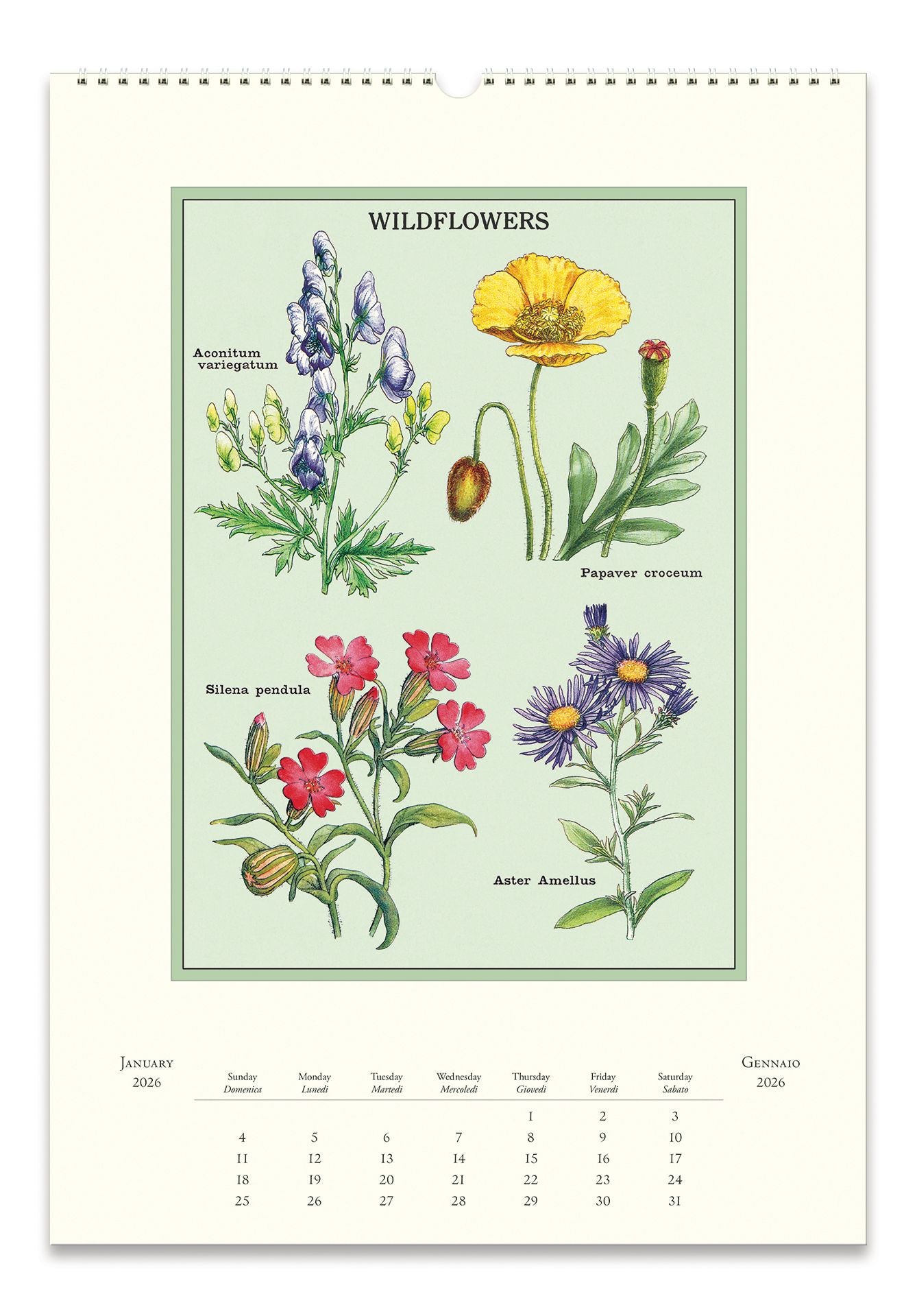 2026 Cavallini Wildflowers Wall Calendar