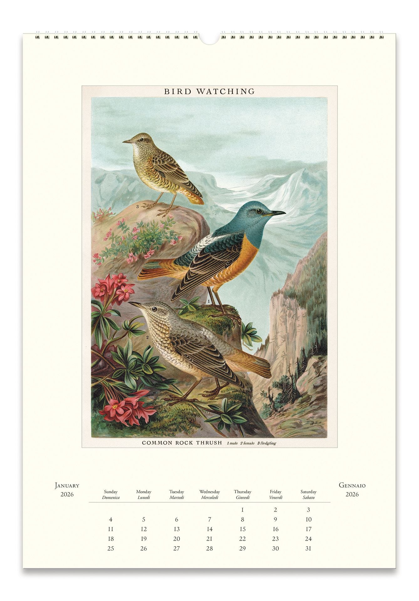 2026 Bird Watching Wall Calendar