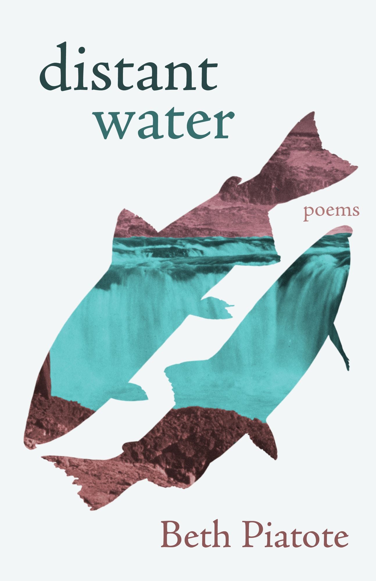 distant water: poems