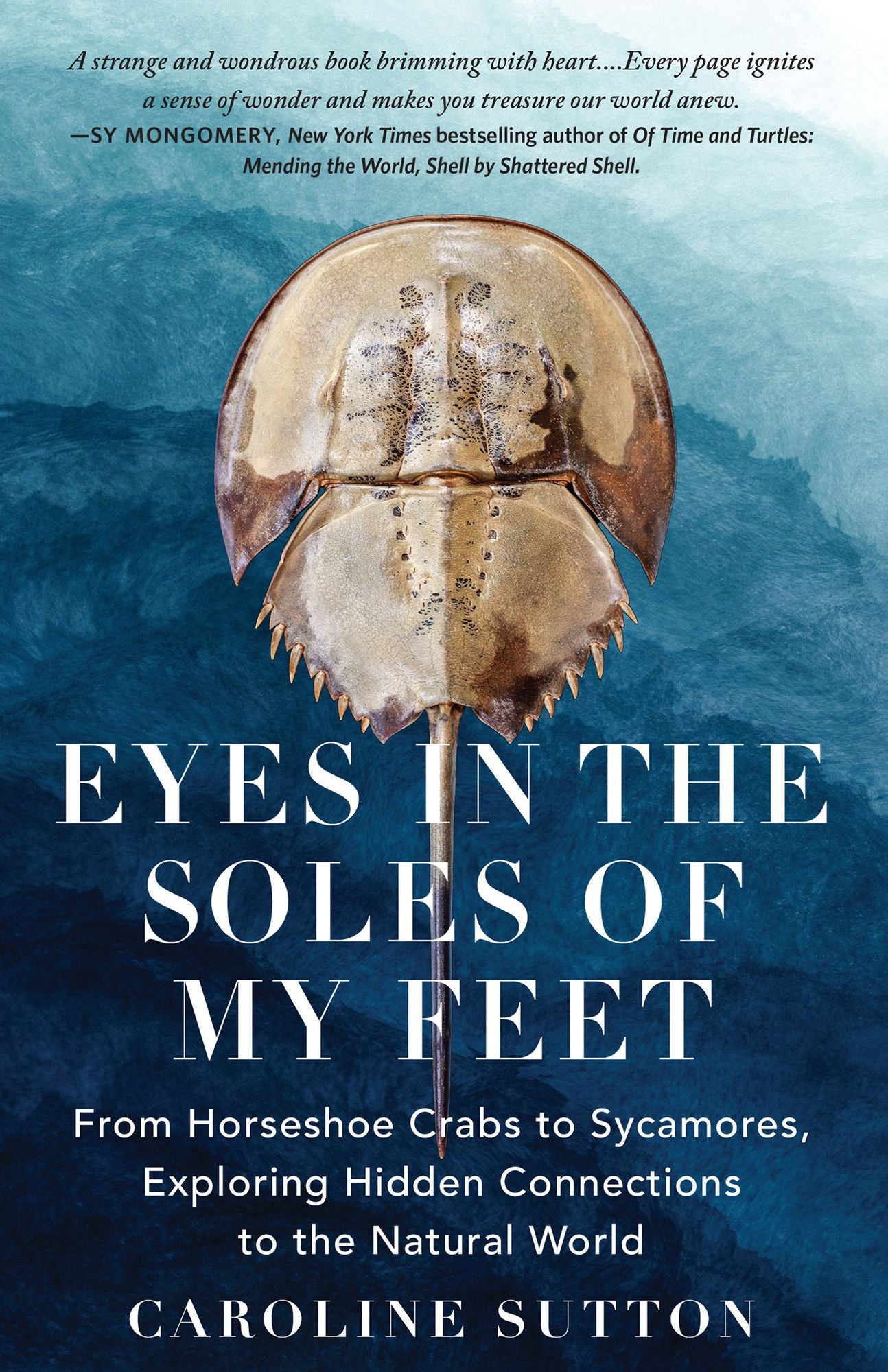 Eyes in the Soles of My Feet
