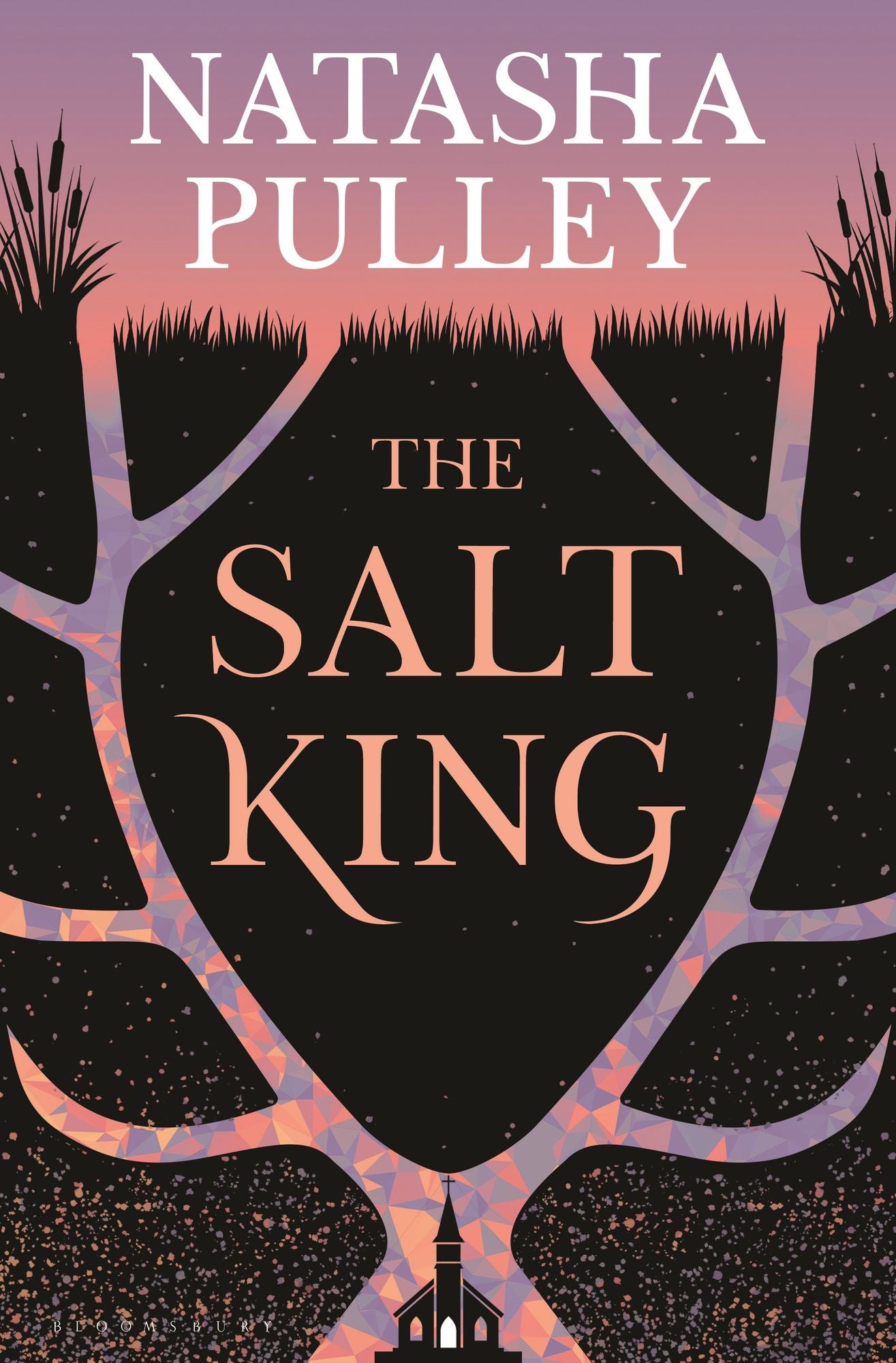 The Salt King: A Novel