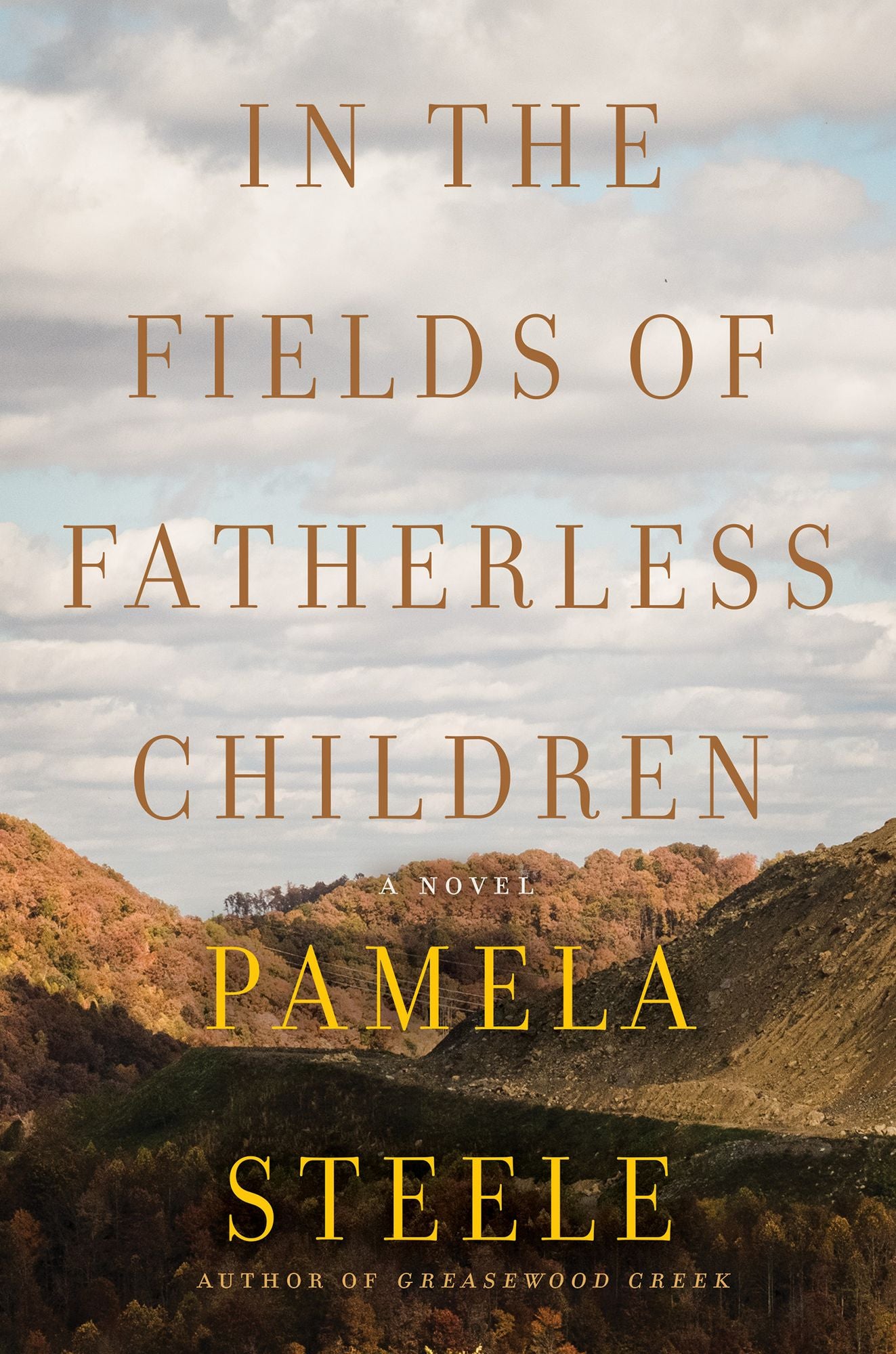 In The Fields of Fatherless Children: A Novel
