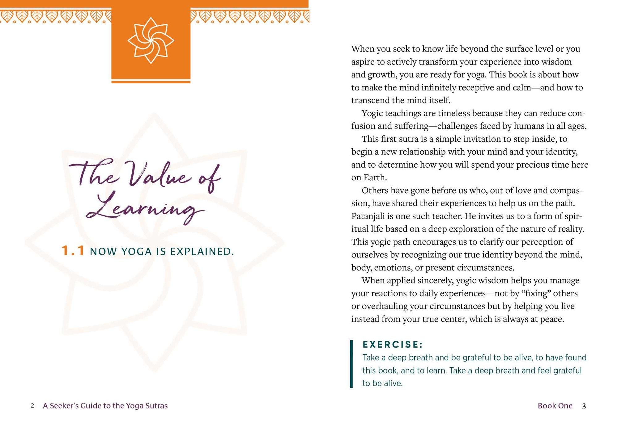 A Seeker's Guide to the Yoga Sutras: Modern Reflections on the Ancient Journey