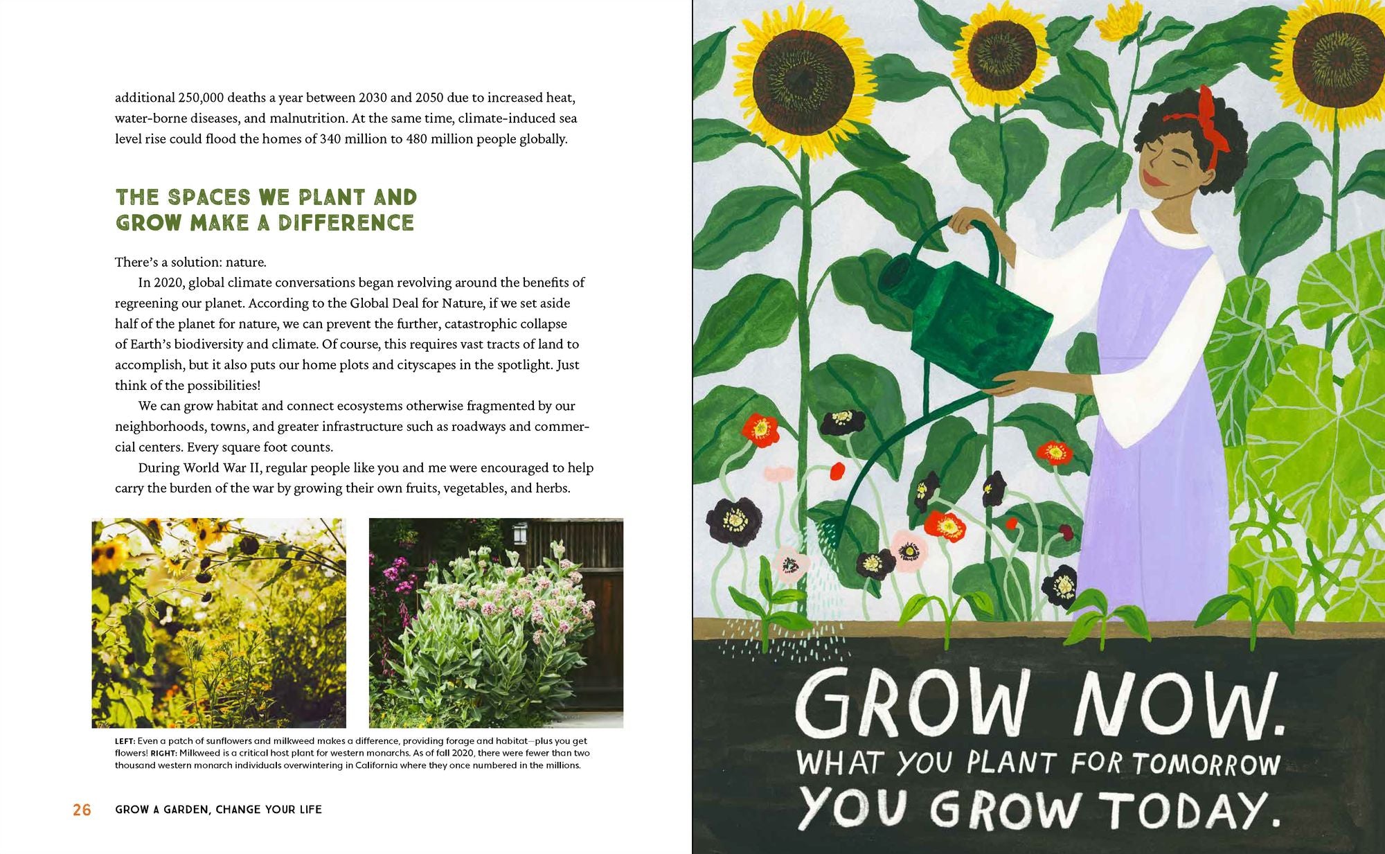Grow Now: How We Can Save Our Health, Communities, and Planet-One Garden at a Time