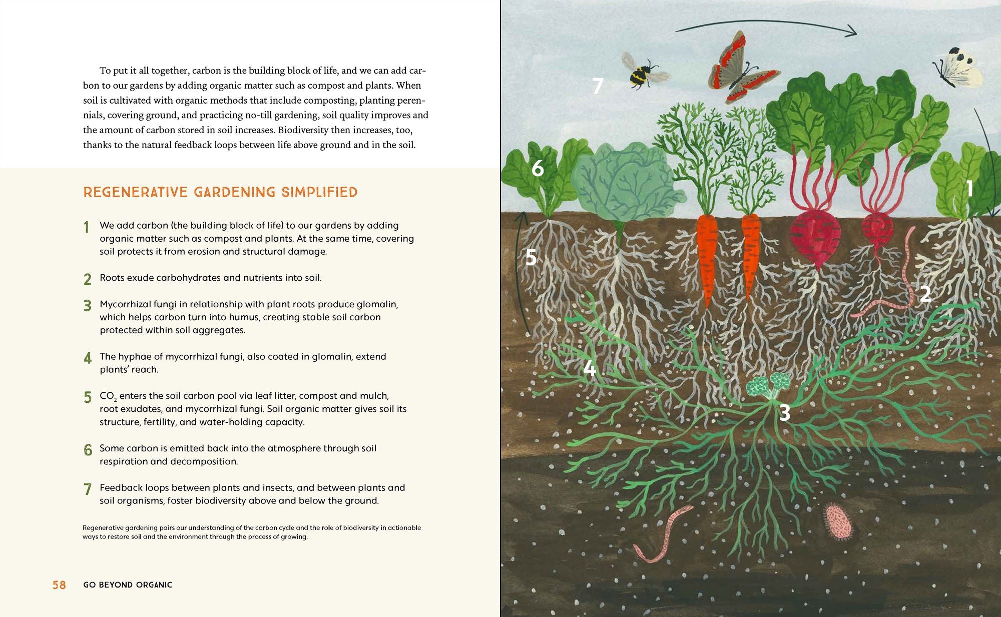 Grow Now: How We Can Save Our Health, Communities, and Planet-One Garden at a Time