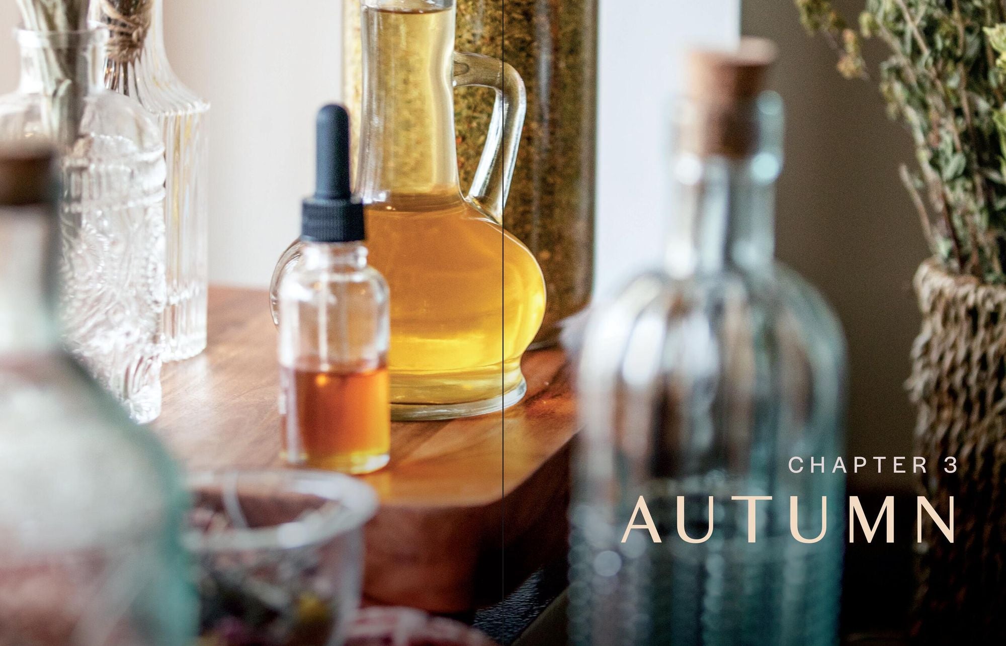 Herbs in Every Season: 48 Edible and Medicinal Herbs for the Kitchen, Garden, and Apothecary