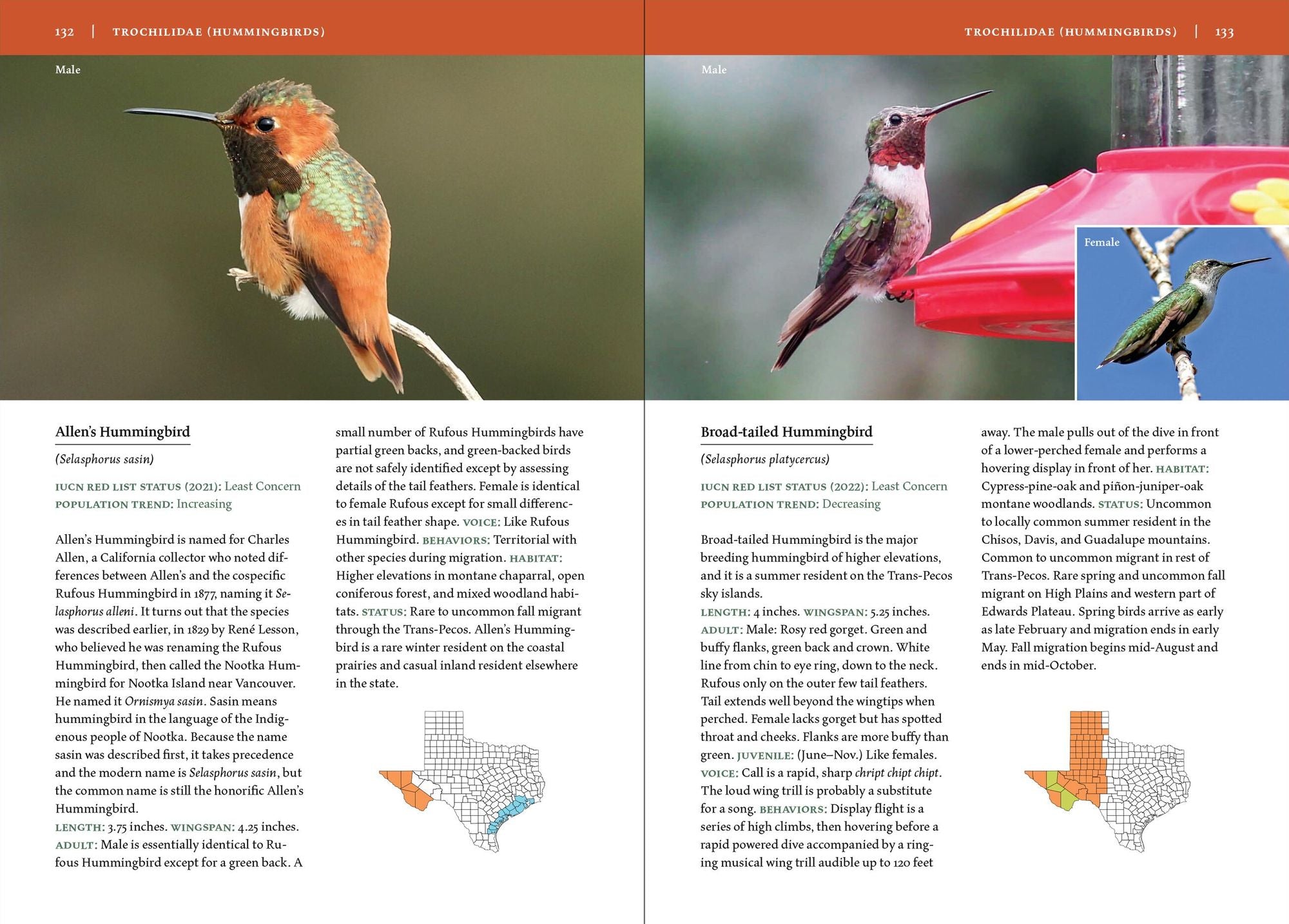Birds of Texas: A Timber Press Field Guide