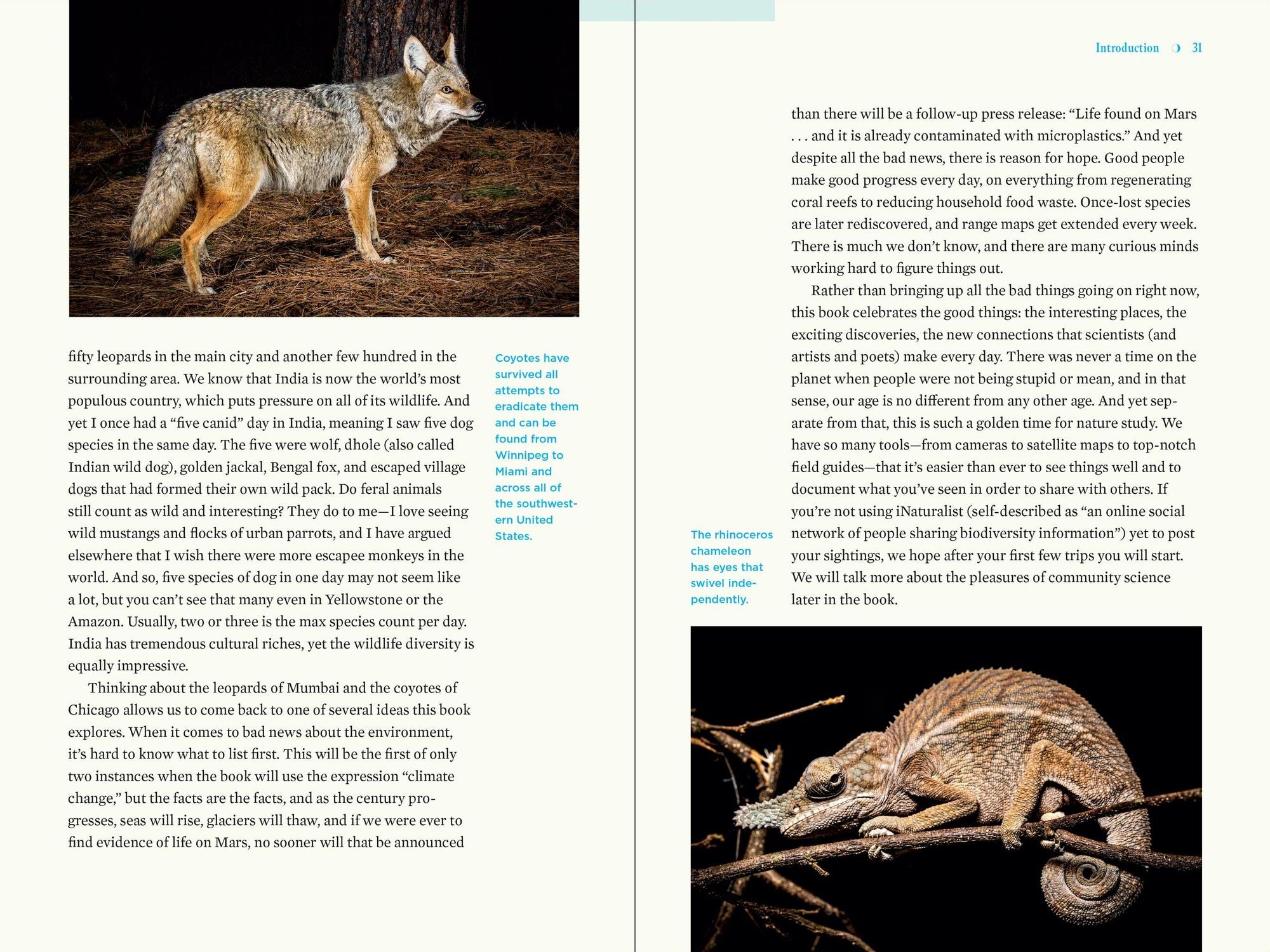 Nature at Night: Discover the Hidden World That Comes Alive after Dark