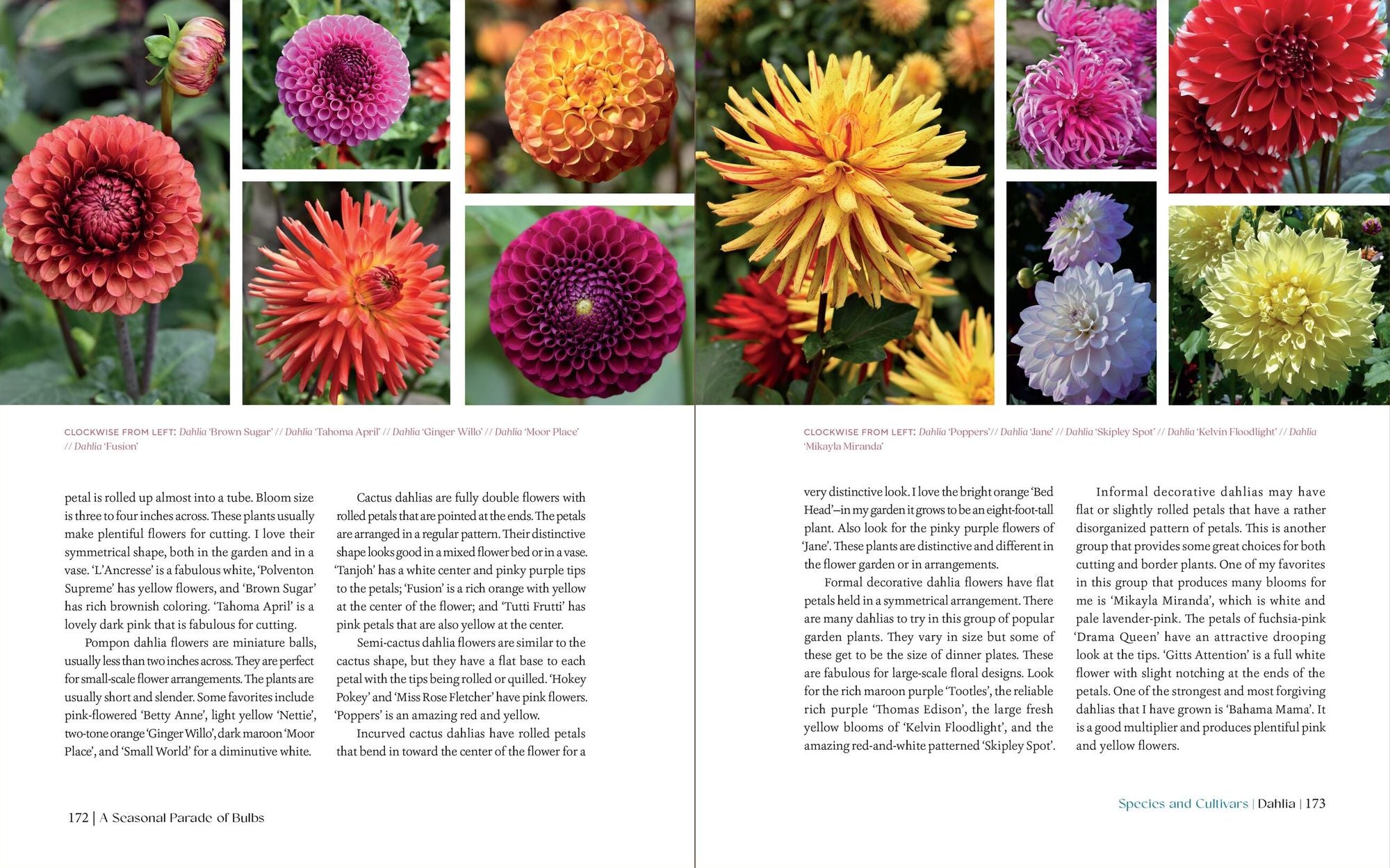 The Essential Guide to Bulbs: Grow a Bounty of Beautiful Bulbs in Gardens and Containers