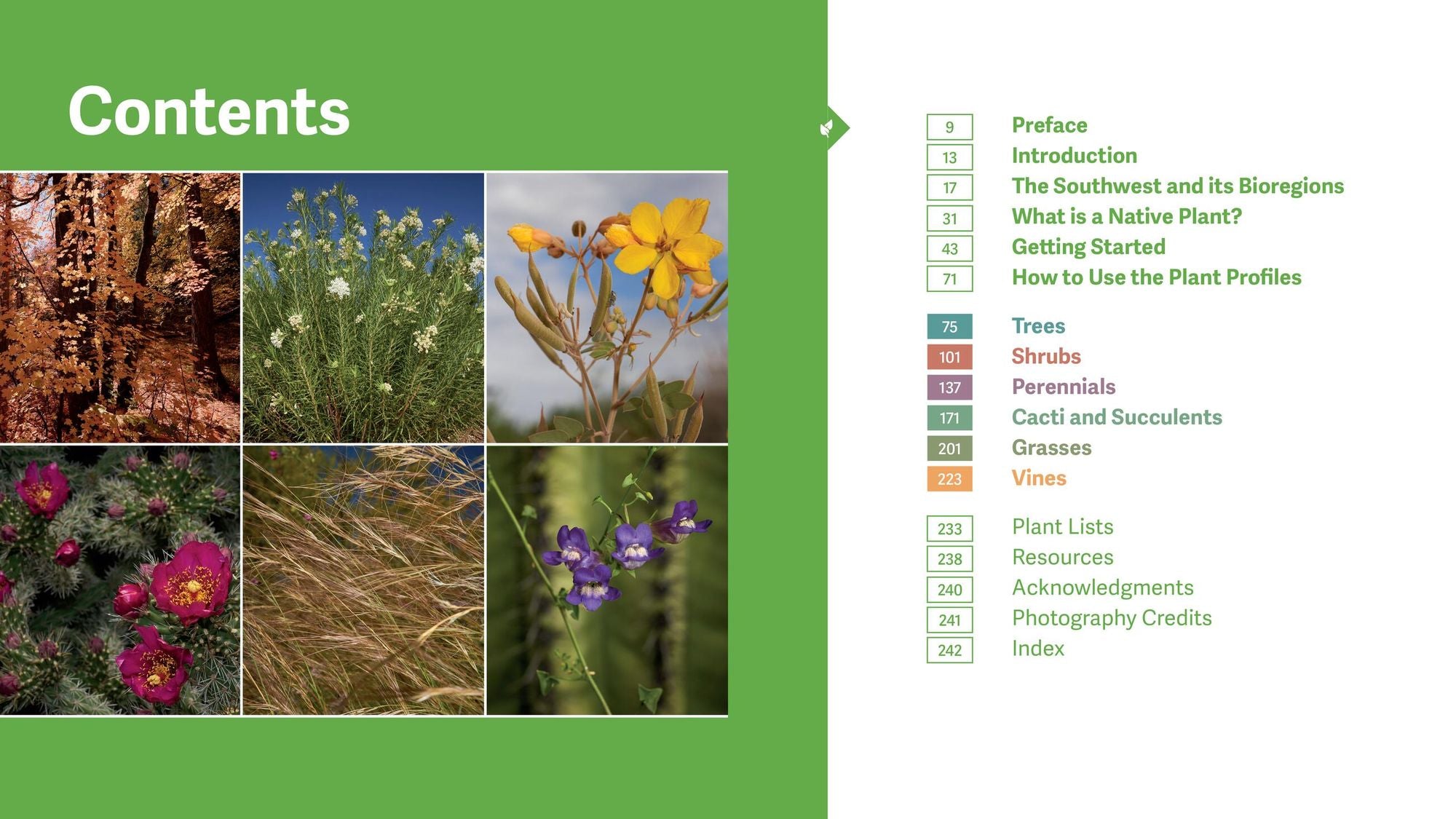 The Southwest Native Plant Primer: 235 Plants for an Earth-Friendly Garden
