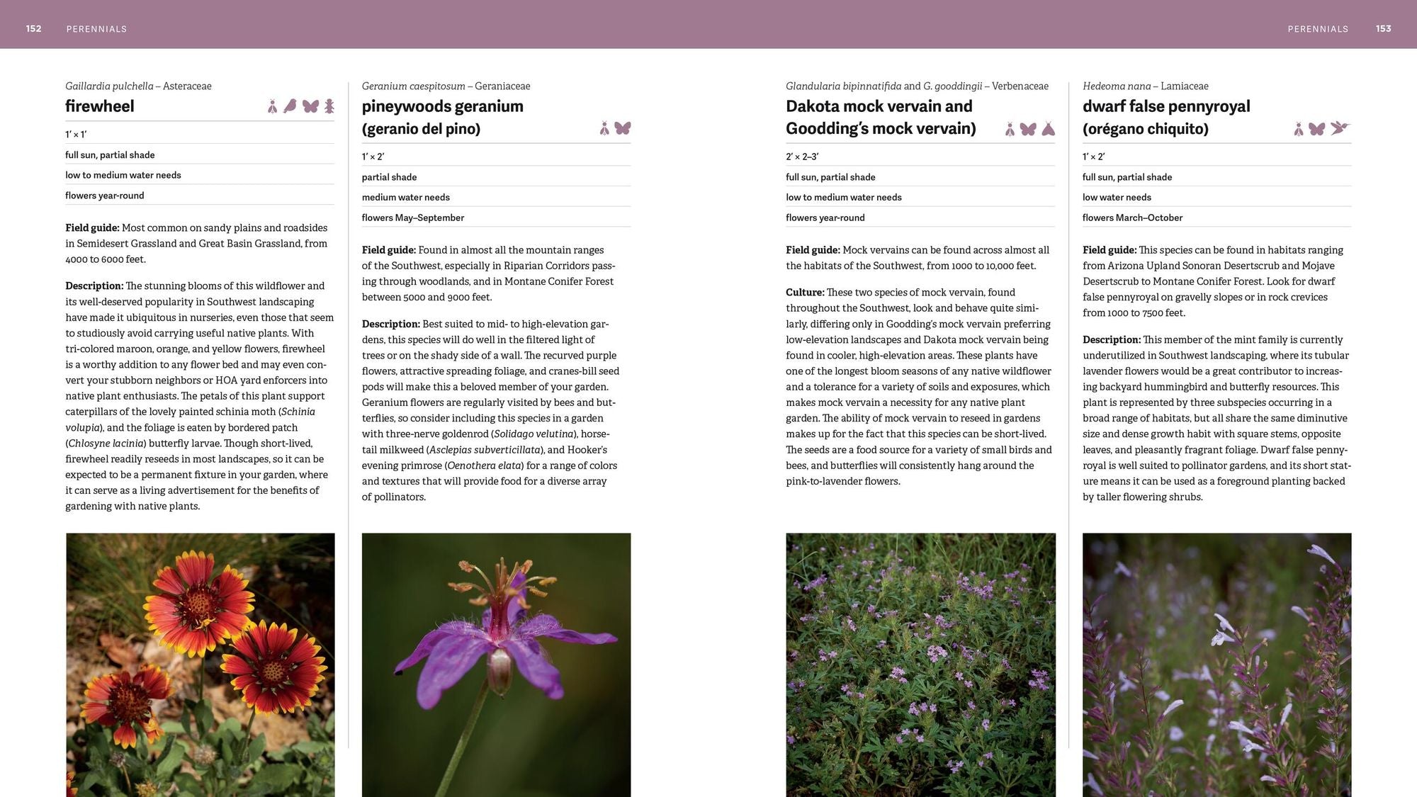 The Southwest Native Plant Primer: 235 Plants for an Earth-Friendly Garden