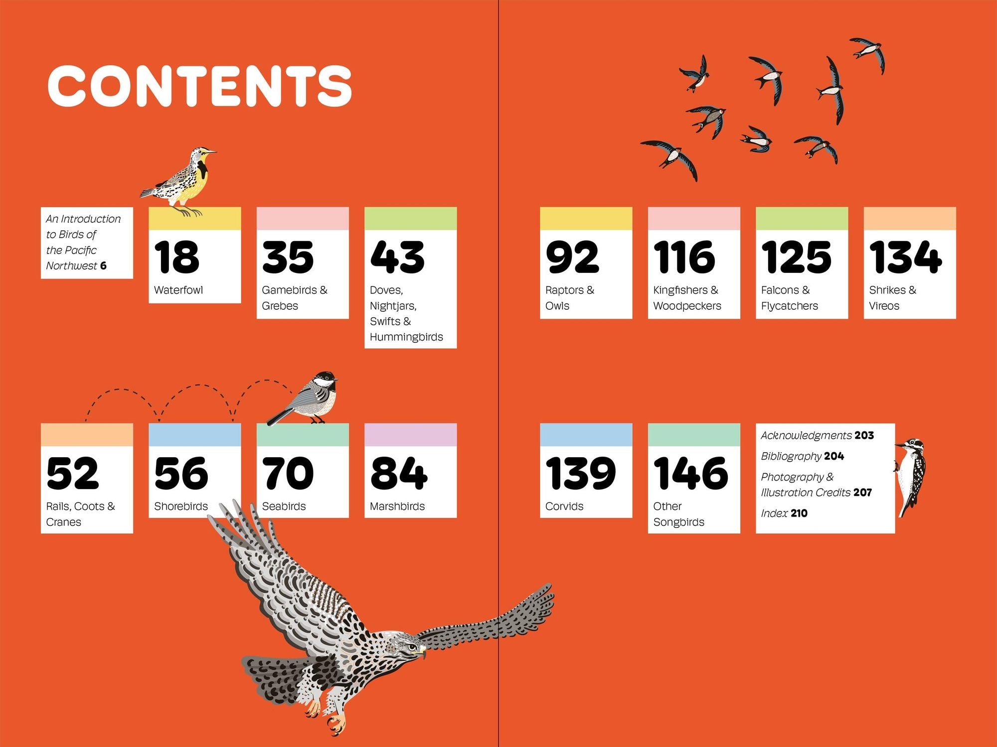 Birds of the Pacific Northwest For Kids