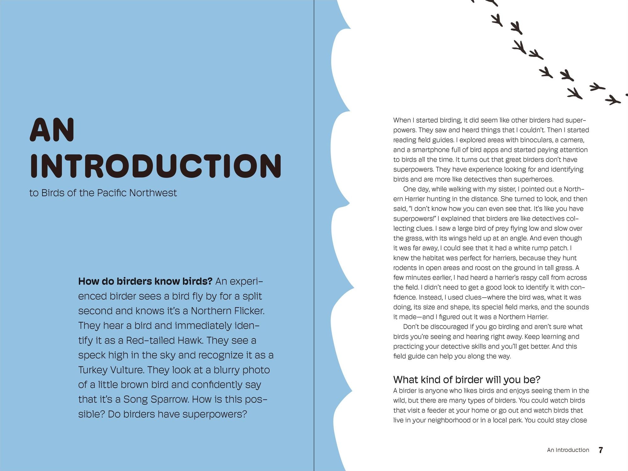 Birds of the Pacific Northwest For Kids