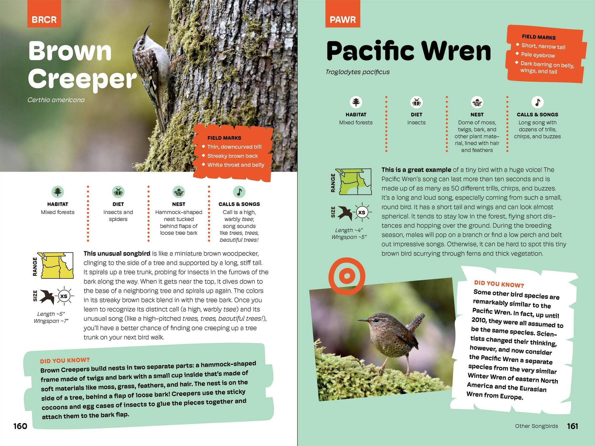 Birds of the Pacific Northwest For Kids