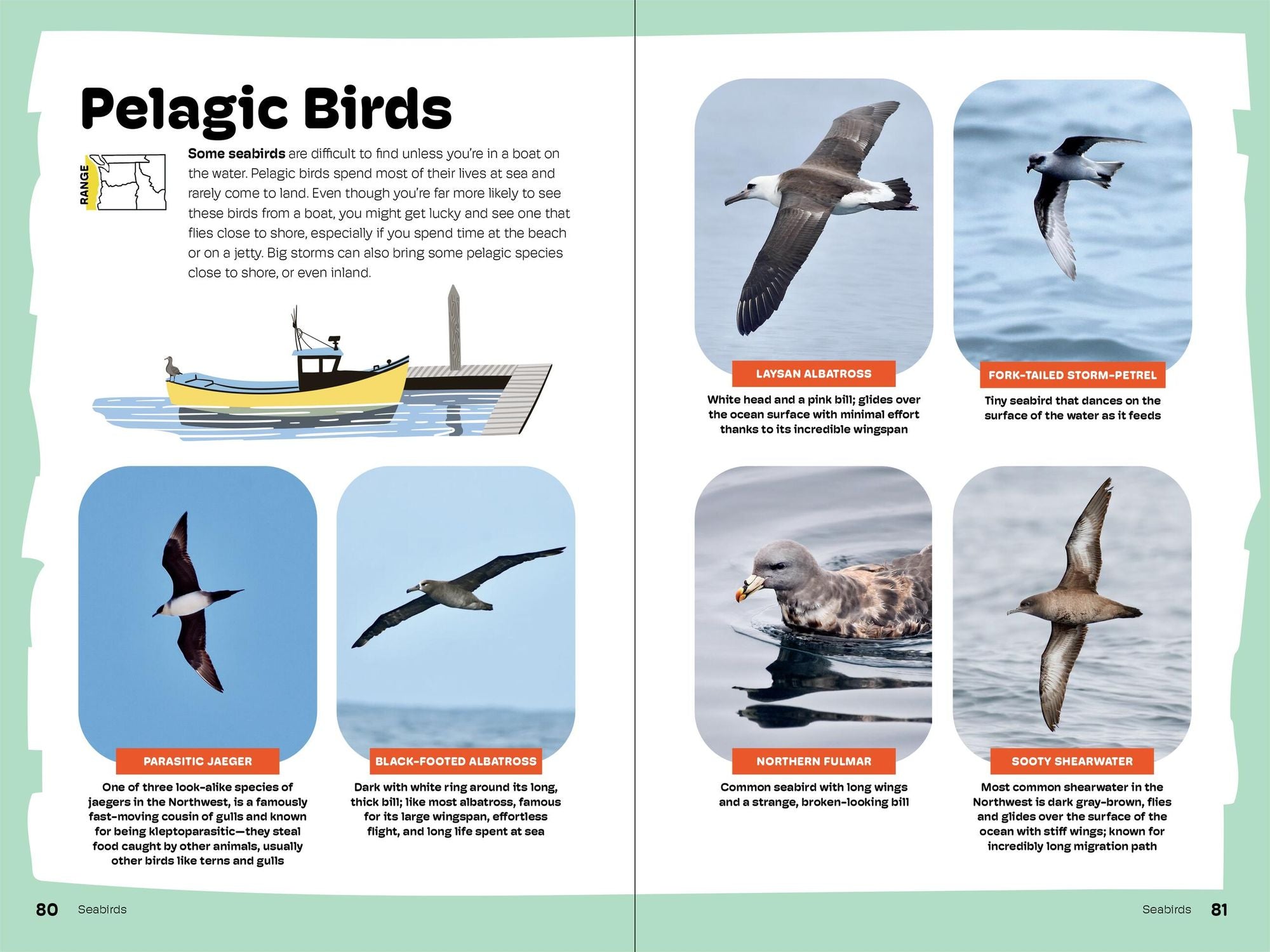 Birds of the Pacific Northwest For Kids