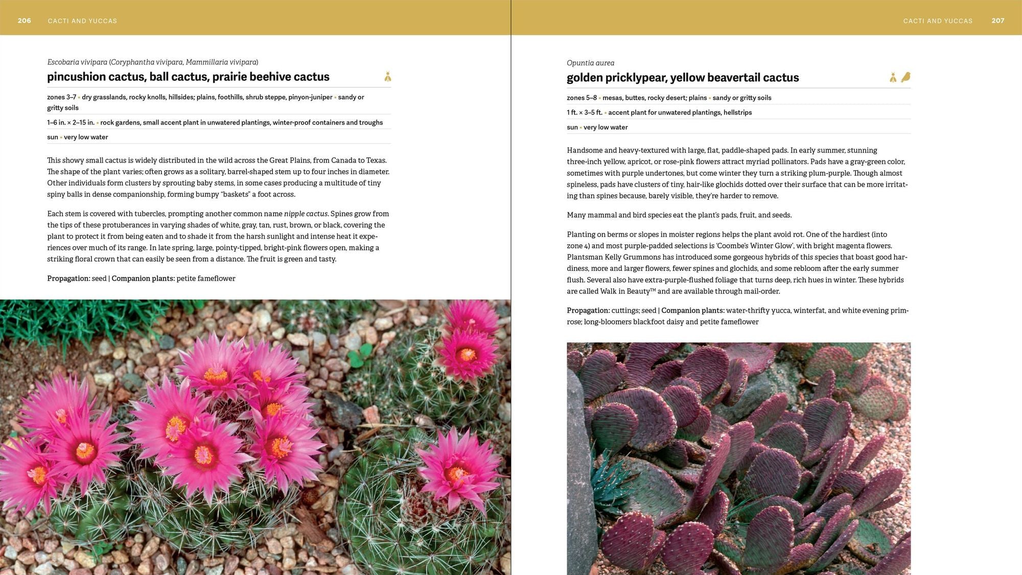 The Rocky Mountain Native Plant Primer: 225 Plants for an Earth-Friendly Garden