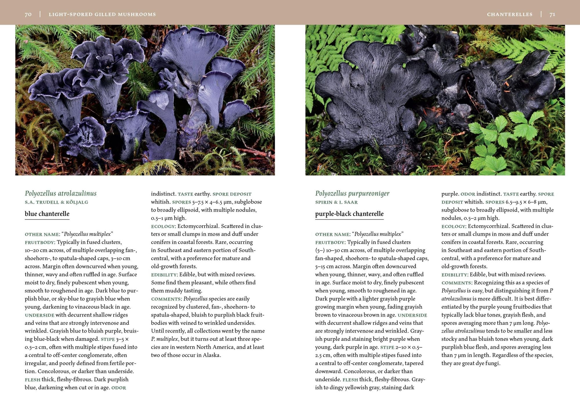 Mushrooms of Alaska