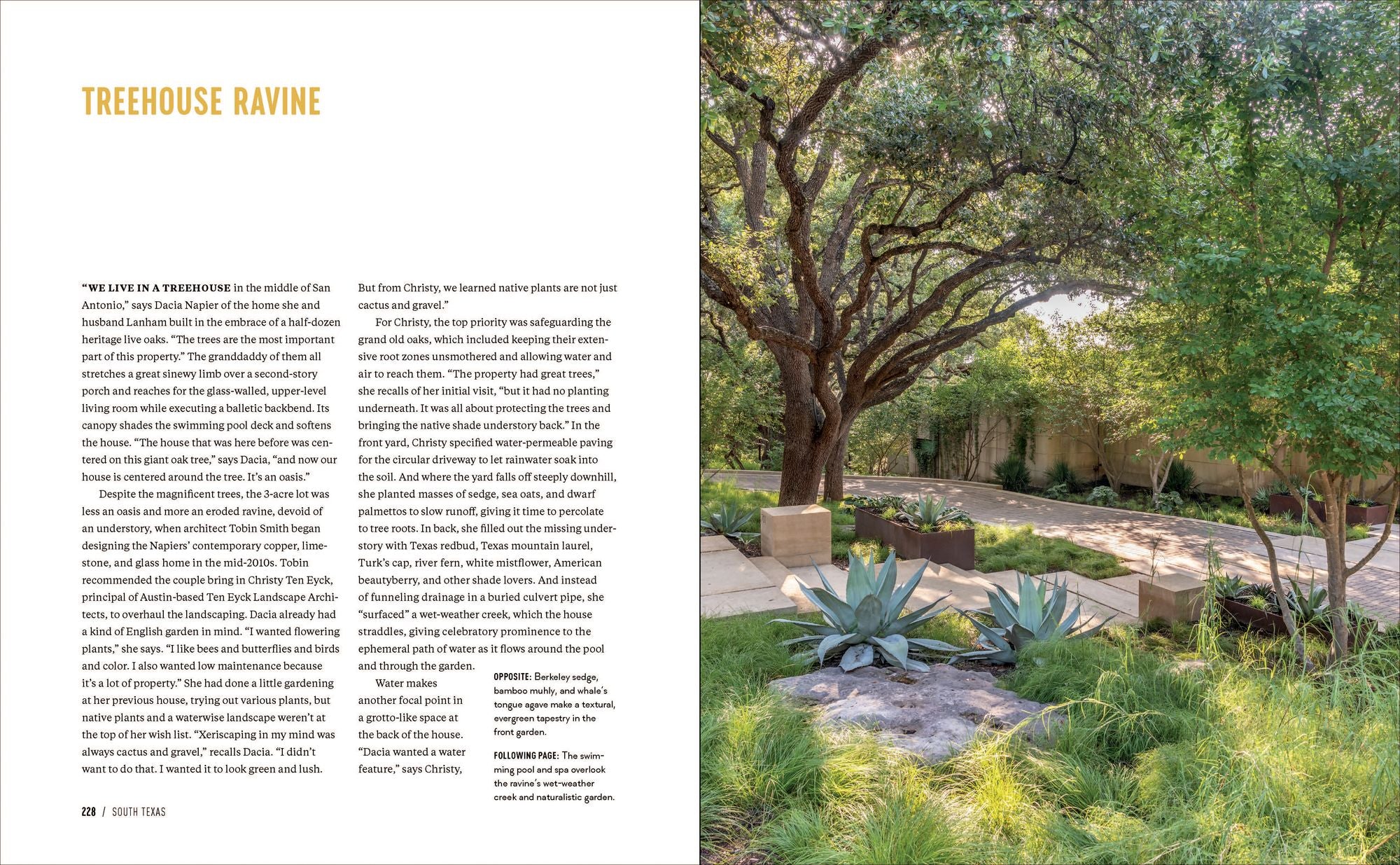Gardens of Texas: Visions of Resilience from the Lone Star State