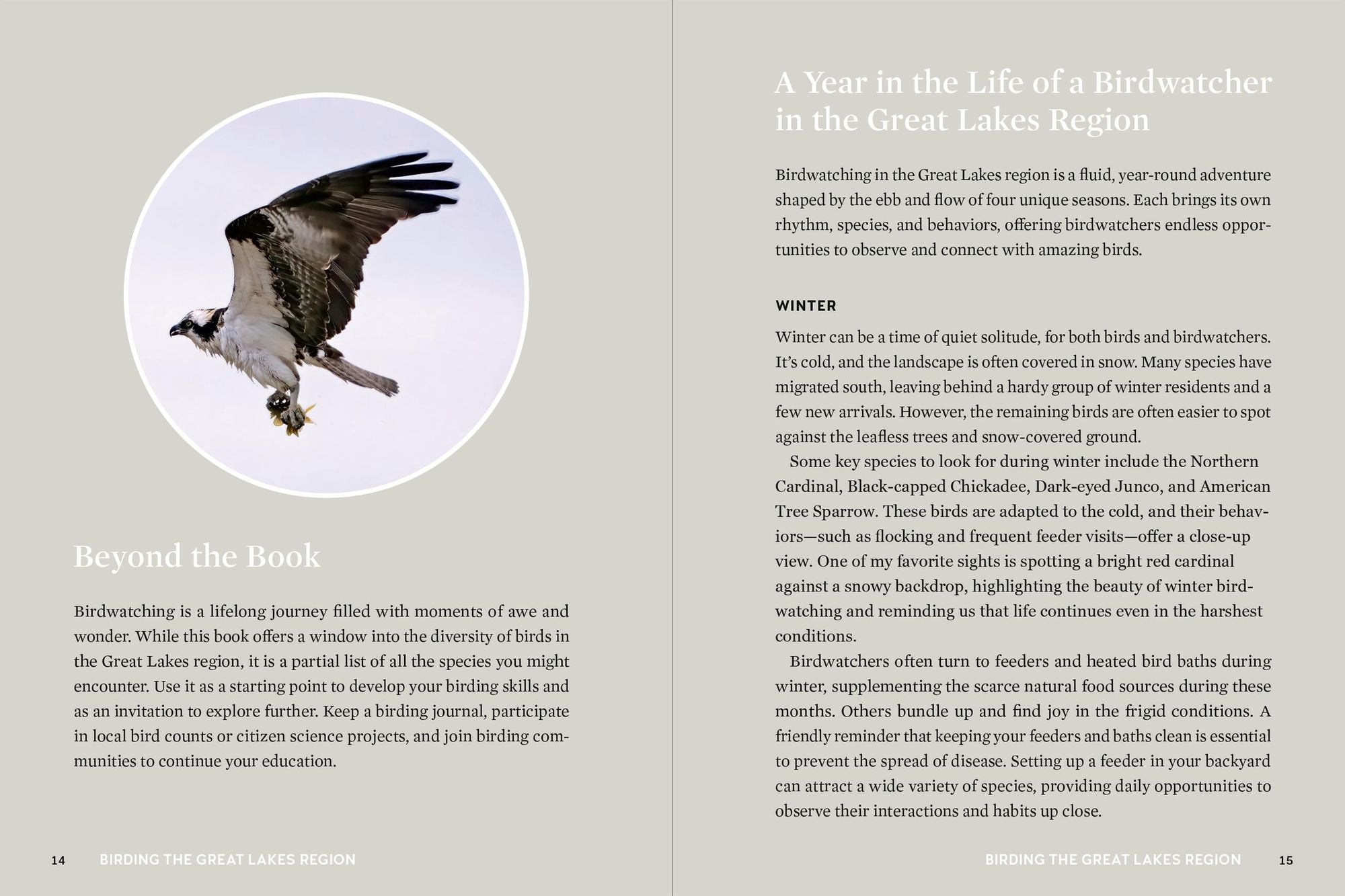 Birds of the Great Lakes