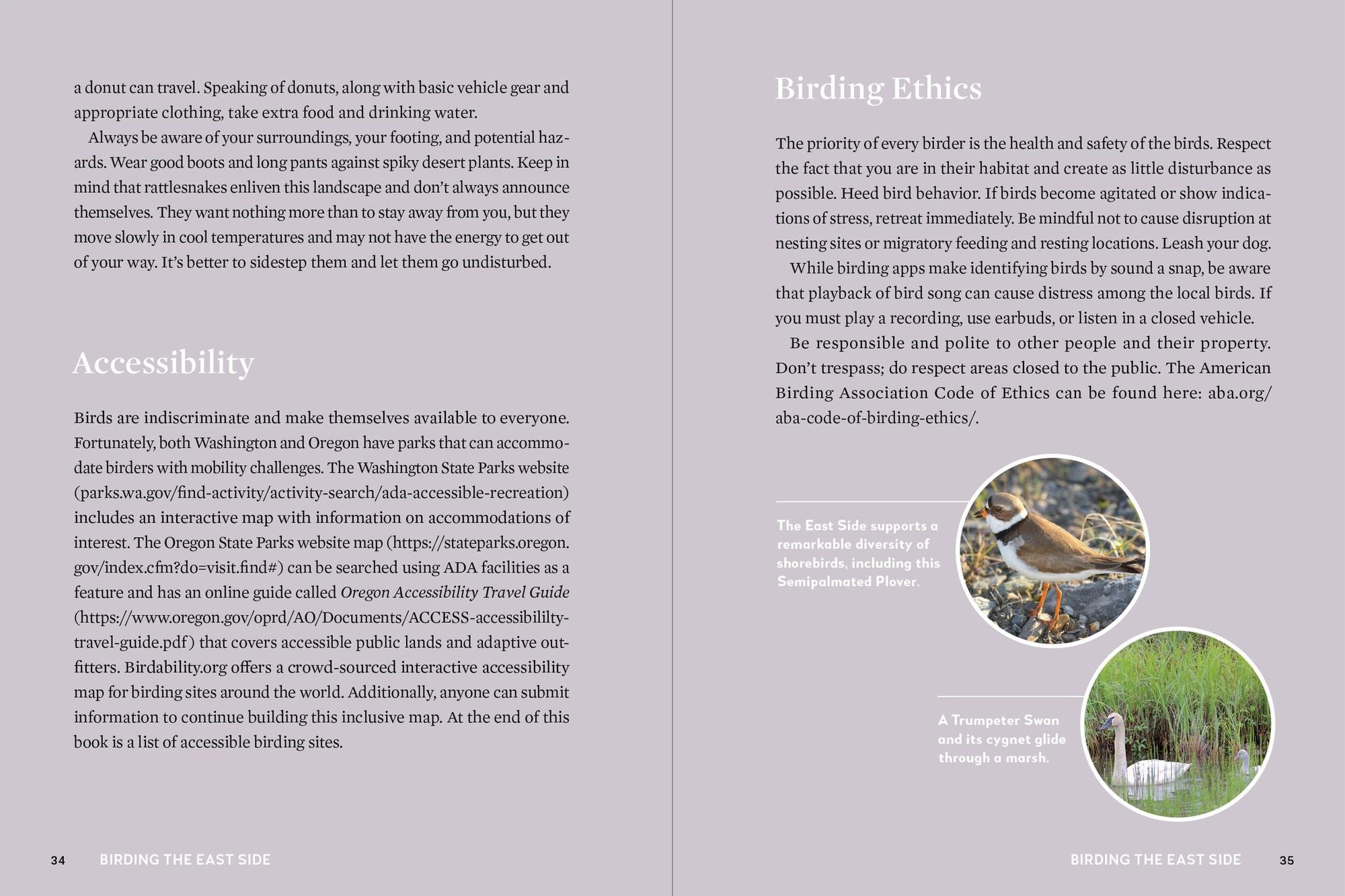 Birds of Washington and Oregon, The East Side