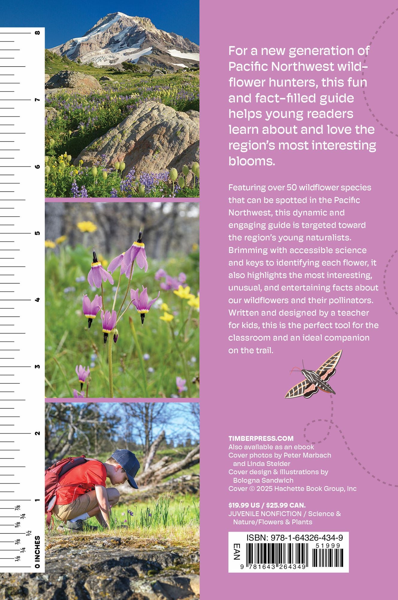 Wildflowers of the Pacific Northwest For Kids